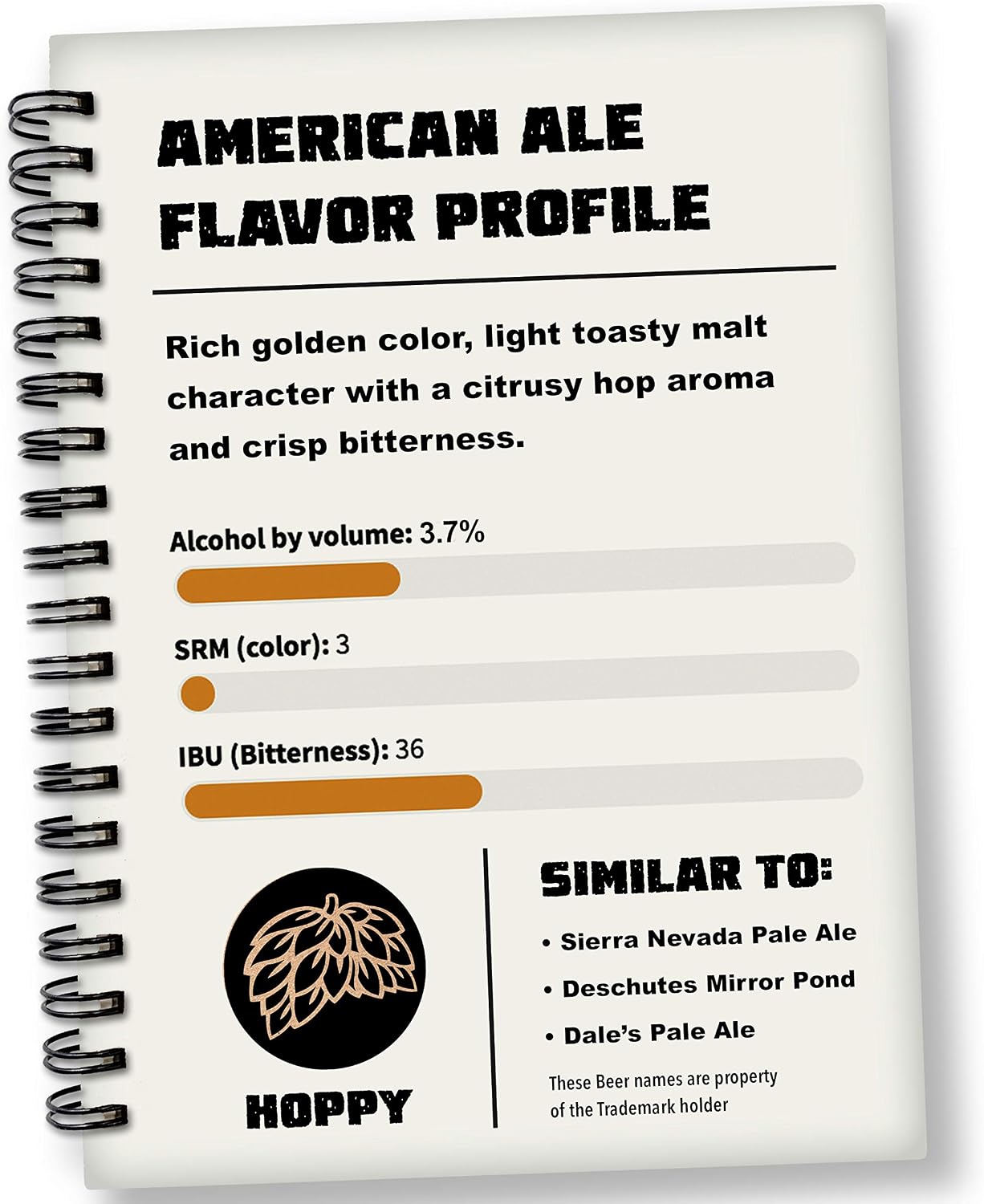 Mr. Beer St. Patrick’s Irish Stout 2 Gallon Homebrewing Refill