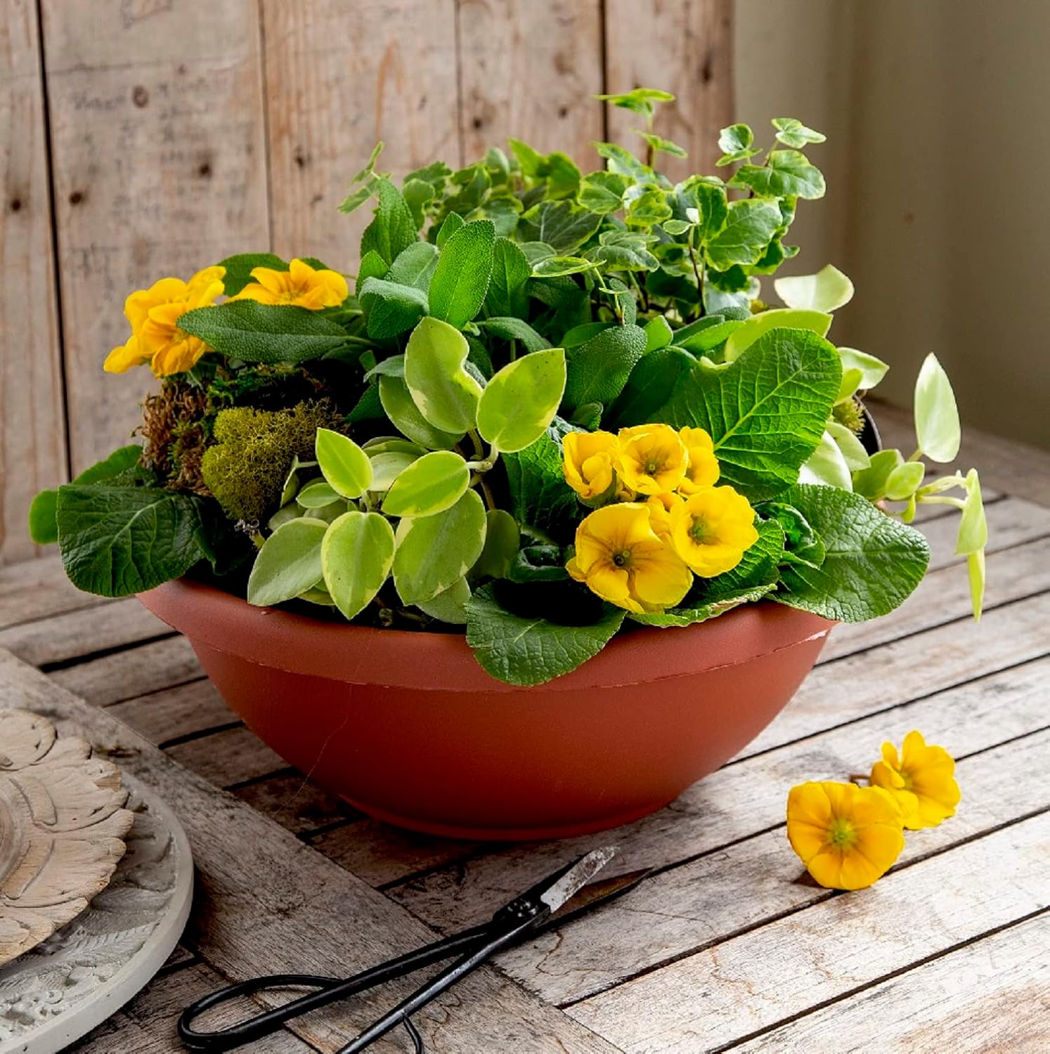 The HC Companies Shallow Planter with Drainage - Contemporary Garden Bowl Planter for Flowers, Herbs & More - Round Succulent Planter Pot for Indoors and Outdoors (20" Clay, Pack of 1)