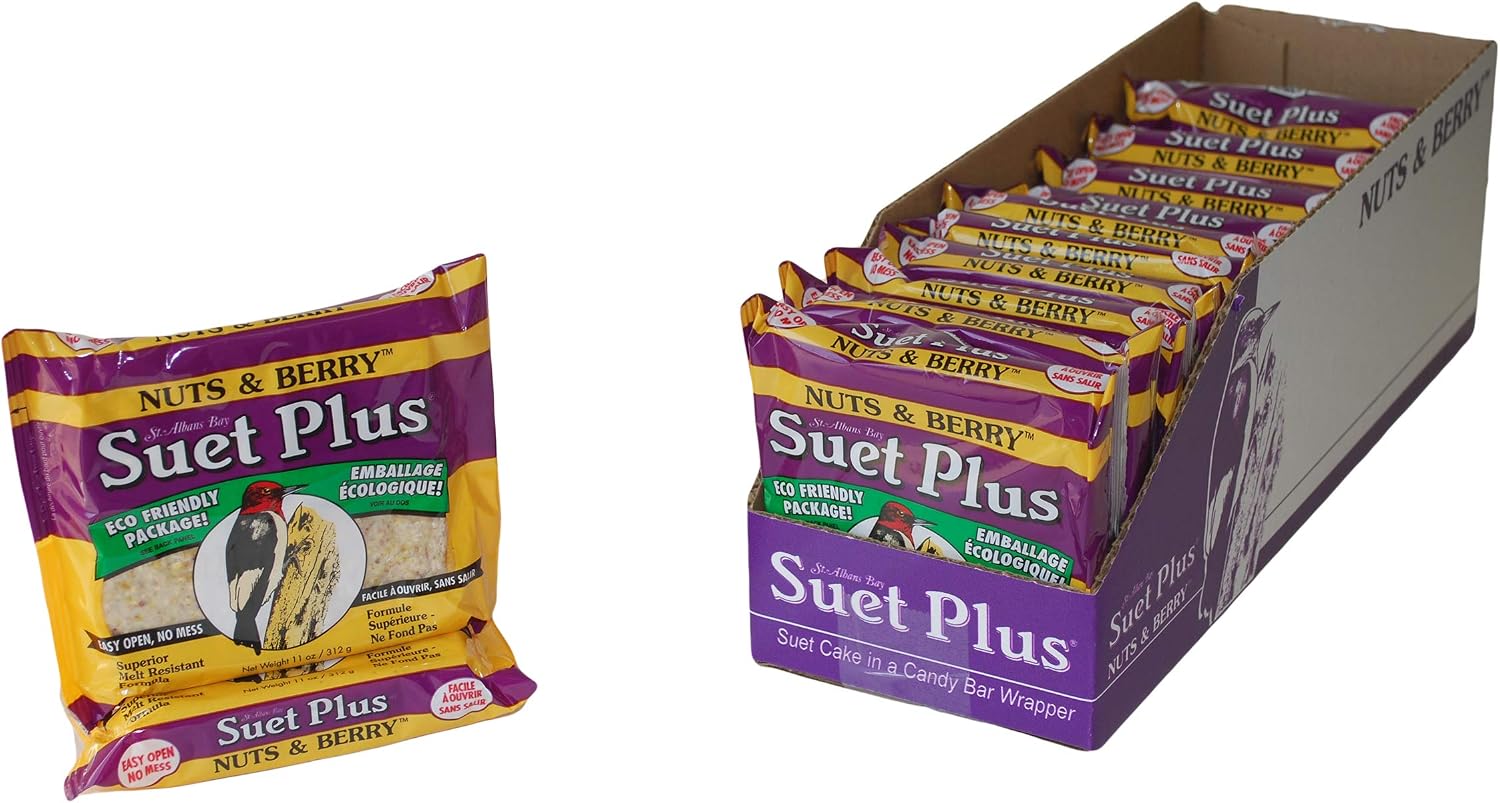 Suet Plus Zesty Orange Suet 12 Pack