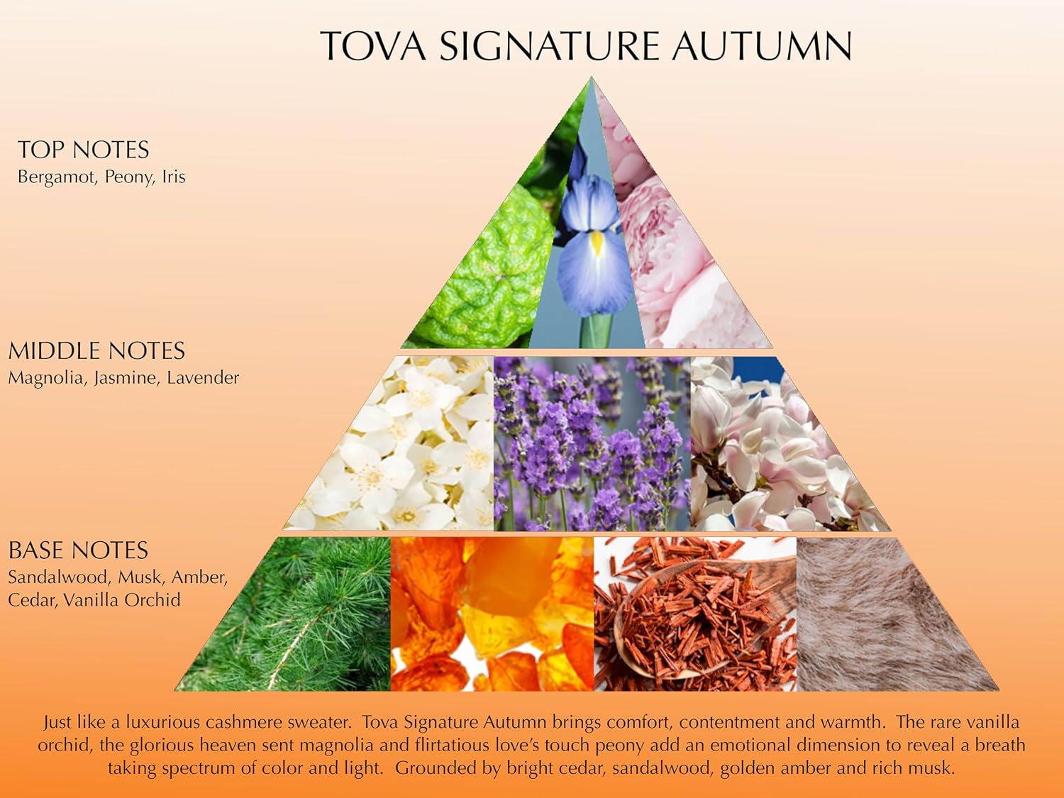 Tova Signature Eau de Parfum – Classic Bergamot Jasmine Lavender Perfume for Women – Timeless Scent – USA-Made & Cruelty-Free – 3.4 fl oz
