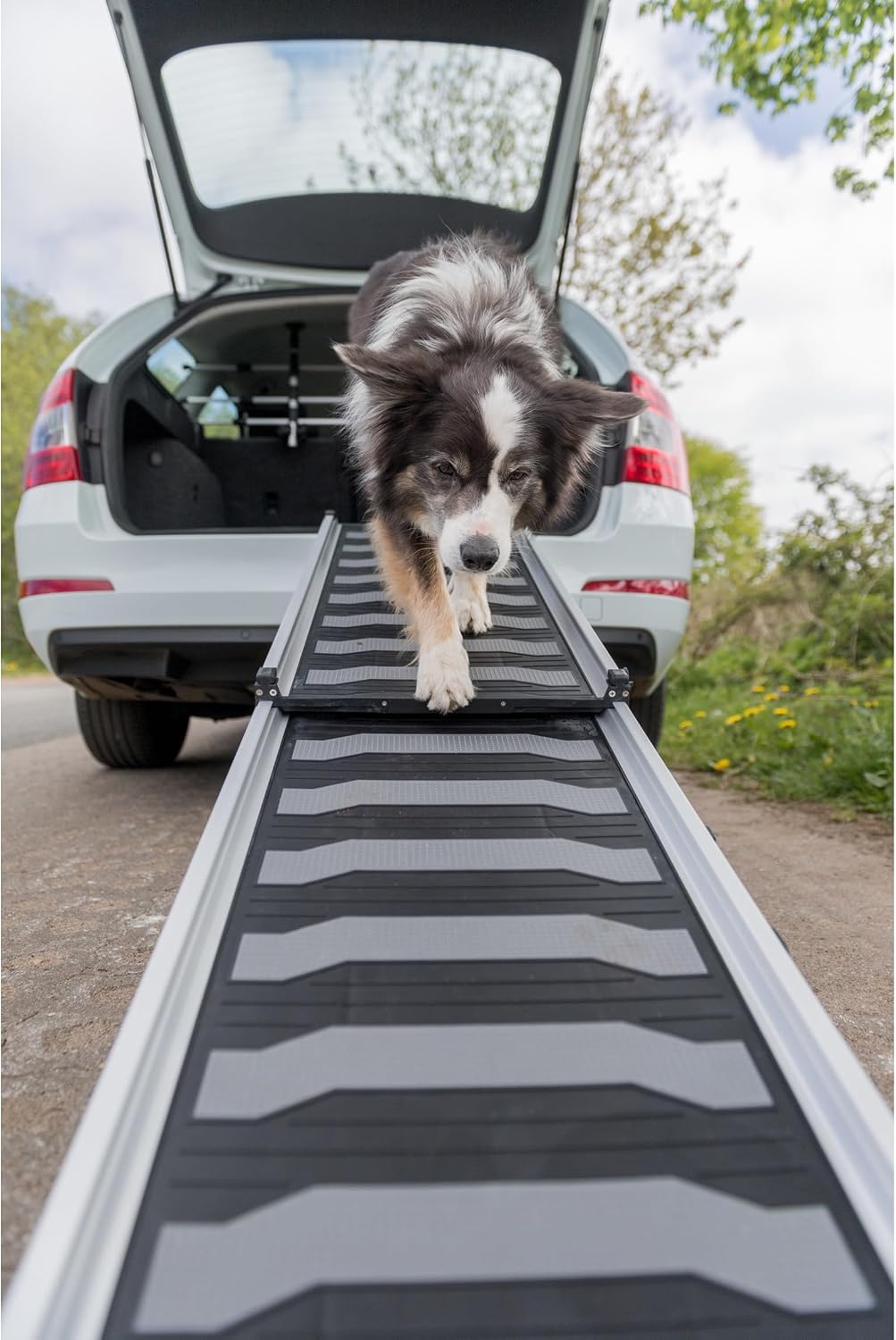 Trixie Folding Pet Ramp, Black | Folding Dog Ramp with High Traction Surface, Ideal for Cars and SUVs, Foldable, Easy to Store and Clean