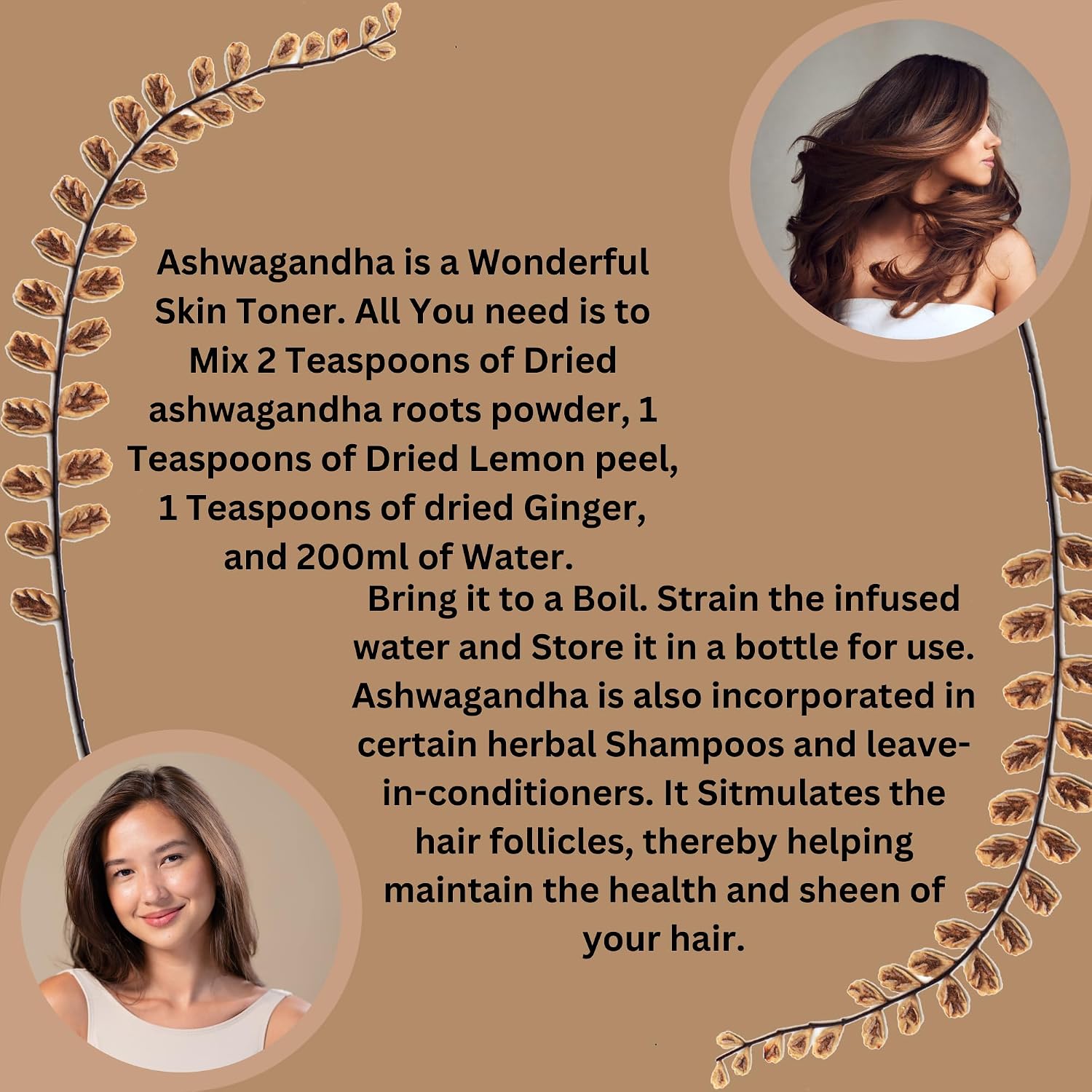 Herbs Botanica Ashwagandha Root Powder Withania Somnifera Powder Ashwaganda Ayurvedic Herbal Supplement Support and Strength 5.3 oz
