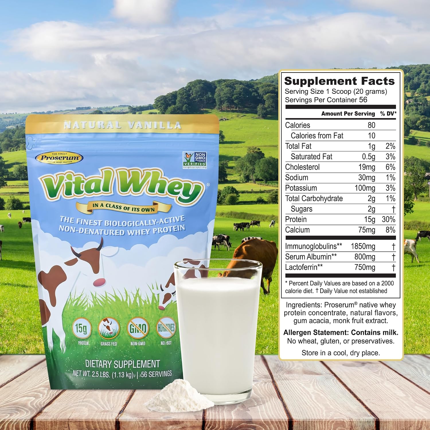Vanilla Grass-Fed Whey Protein Powder, Immune Vitality, Recovery, 600g | 15g protein & 3.5g BCAAs per scoop | Just 5 clean ingredients | Monk fruit sweetened | Tested for heavy metals & purity