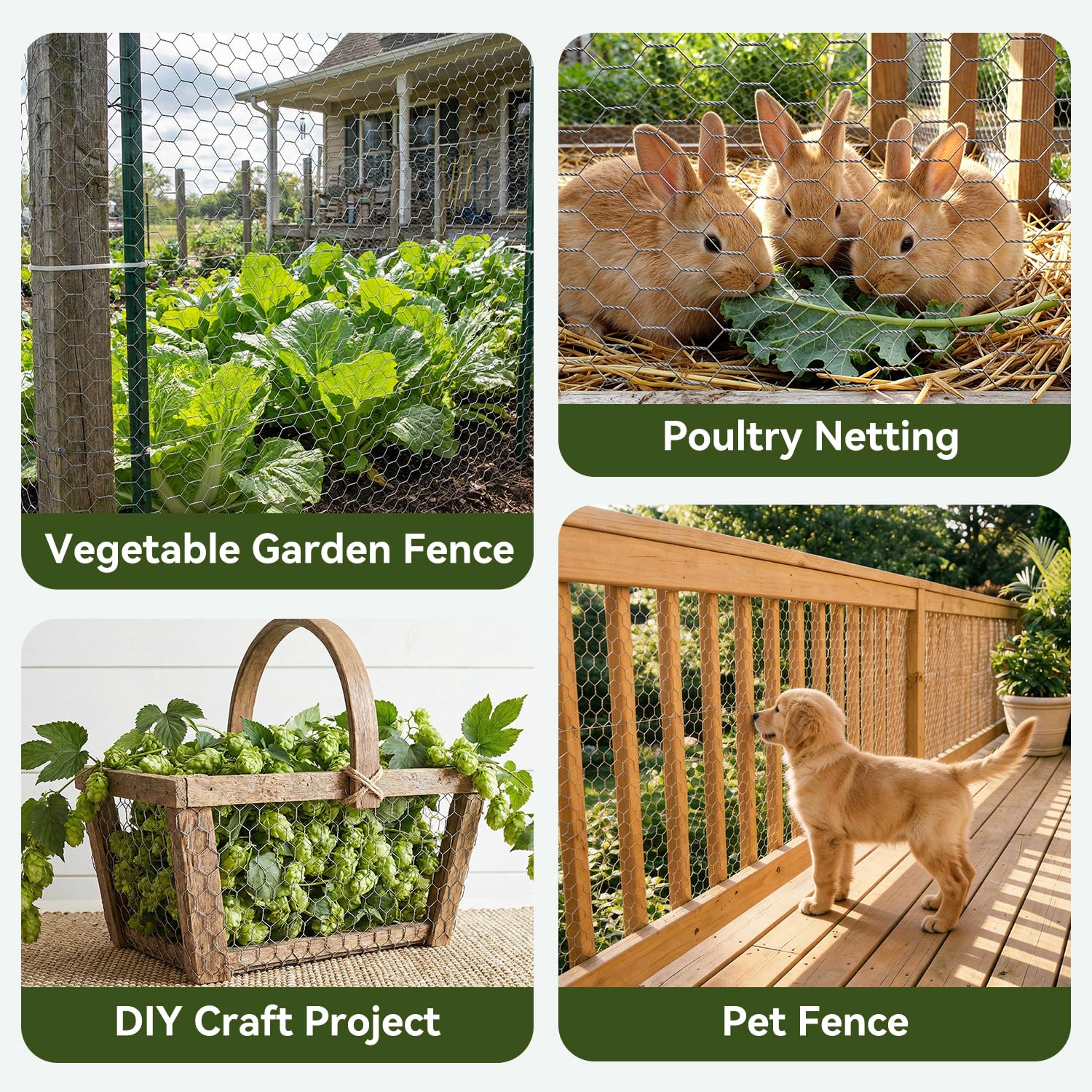 Amagabeli Chicken Wire Fencing Poultry Wire Netting 36inch x 50ft 2 Inch Hexagonal Galvanized Mesh Garden Fence Animal Barrier for Garden Protection Craft Rabbit Cage Dog Roll Chicken Coop Accessories