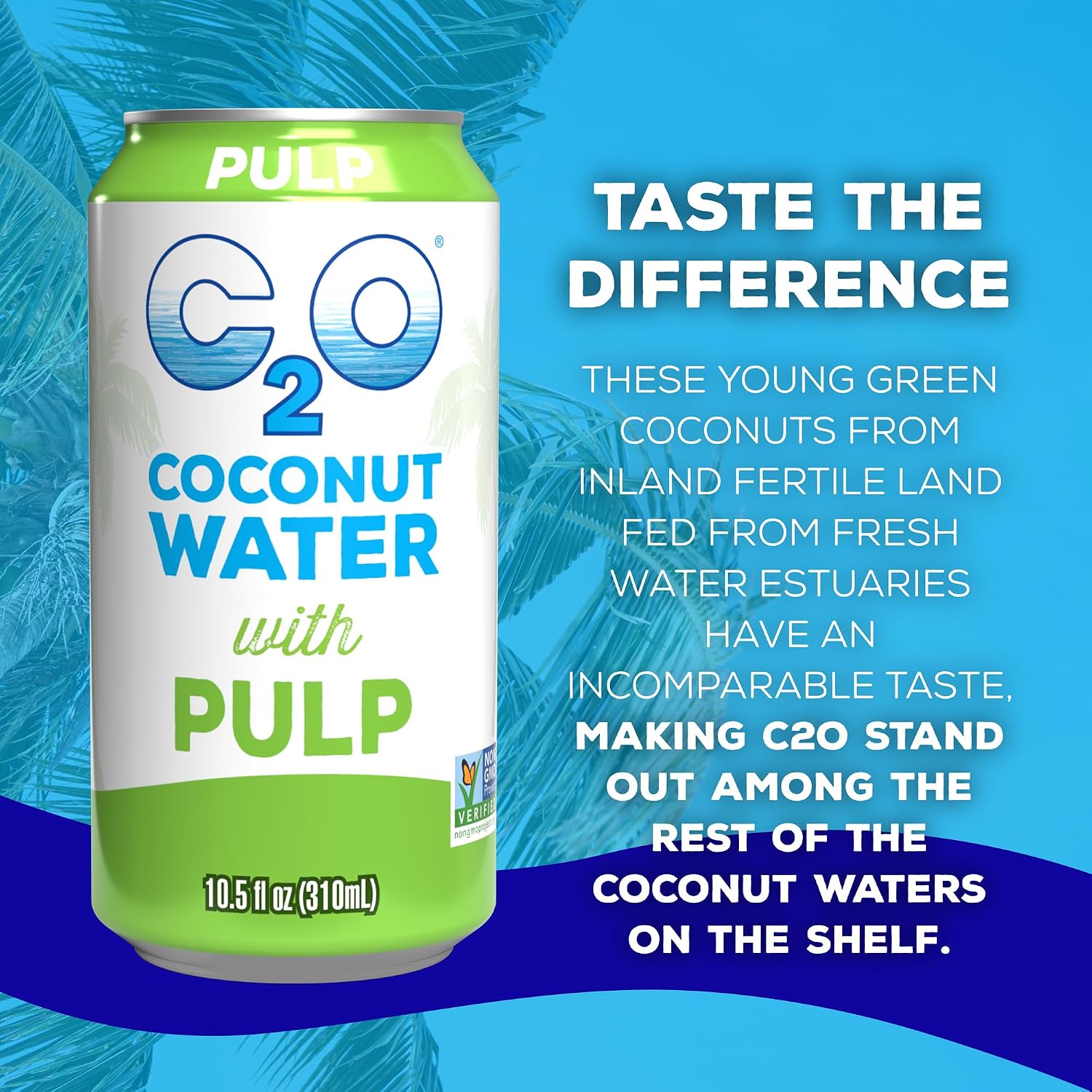 C2O - Coconut Water with Pineapple (12 Pack) - Made with Fresh Coconut Water - Plant Based - Non GMO - Canned Water - Natural Hydration, Essential Electrolytes, & Potassium - 12 Cans, 17.5 FL OZ