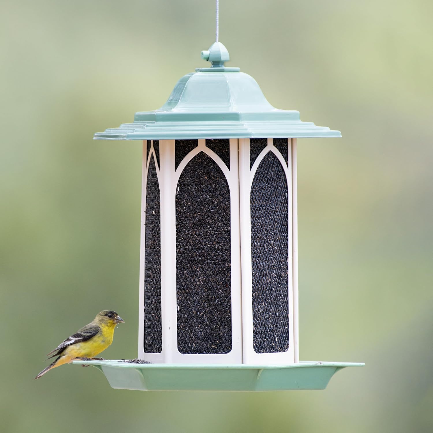 Perky-Pet GAZ01 Pistachio Gazebo Bird Feeder - Metal Bird Feeders for Outside - Outdoor Garden Décor