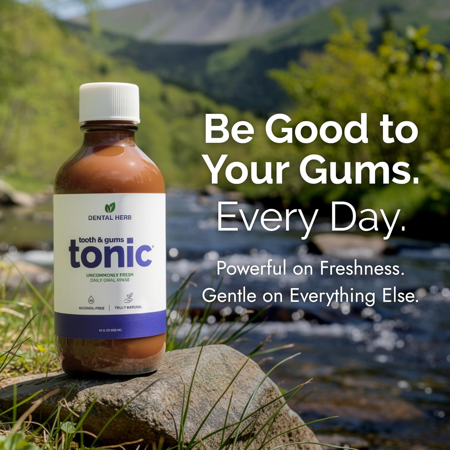 Tooth & Gums Tonic Herbal Mouthwash Oral Rinse 18fl oz, Dental Herb Company
