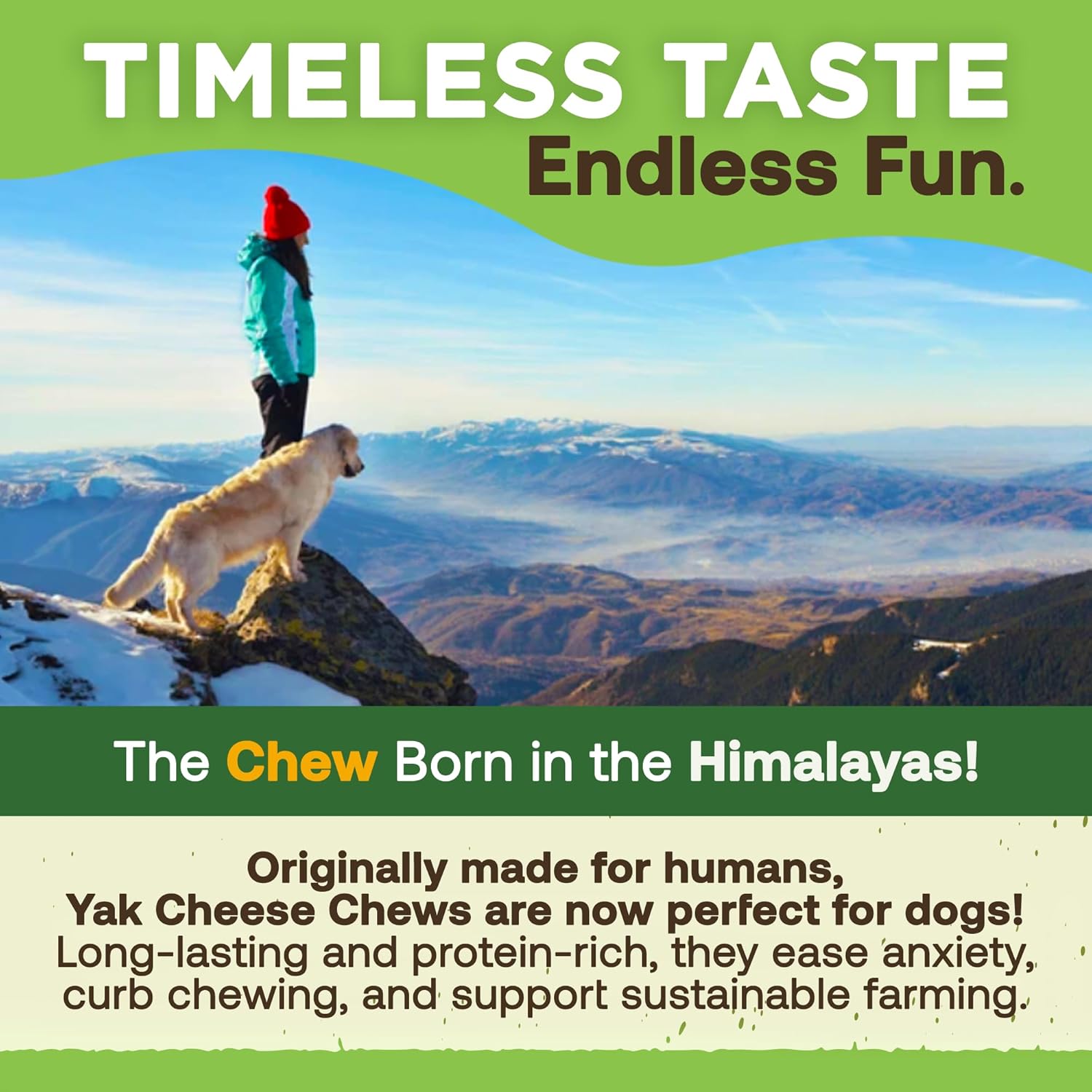EcoKind Yak Cheese Himalayan Dog Chews, Yak Chews for Small Dogs, 8 Bones