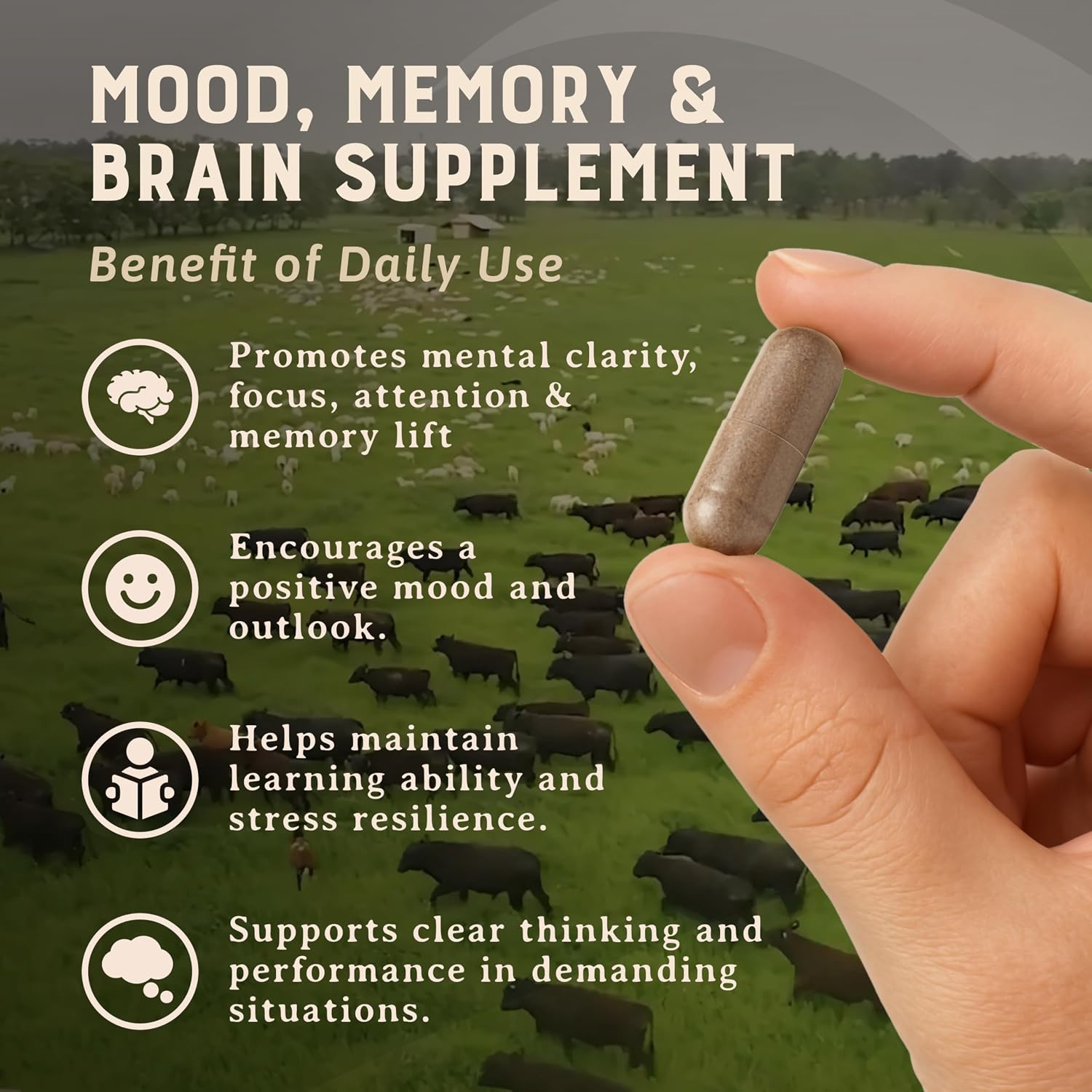 HEART & SOIL Beef Brain Supplement, 180 Capsules