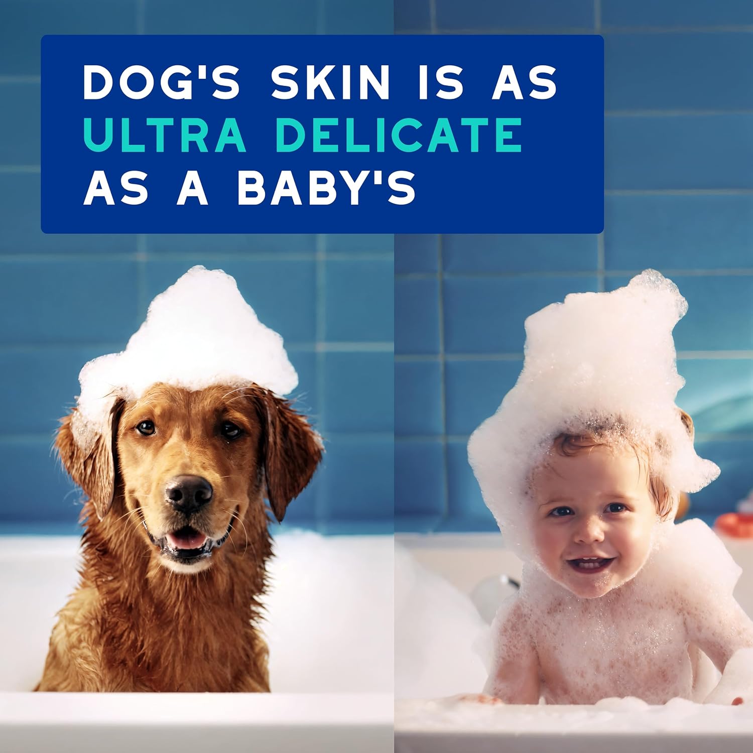 DOUXO SPA Dog Shampoo for Smelly Dogs, 16 fl oz | Hydrates the Skin, Removes Bad Odor, Leaves the Coat Soft and Smelling Great, Ultra-Safe Formula
