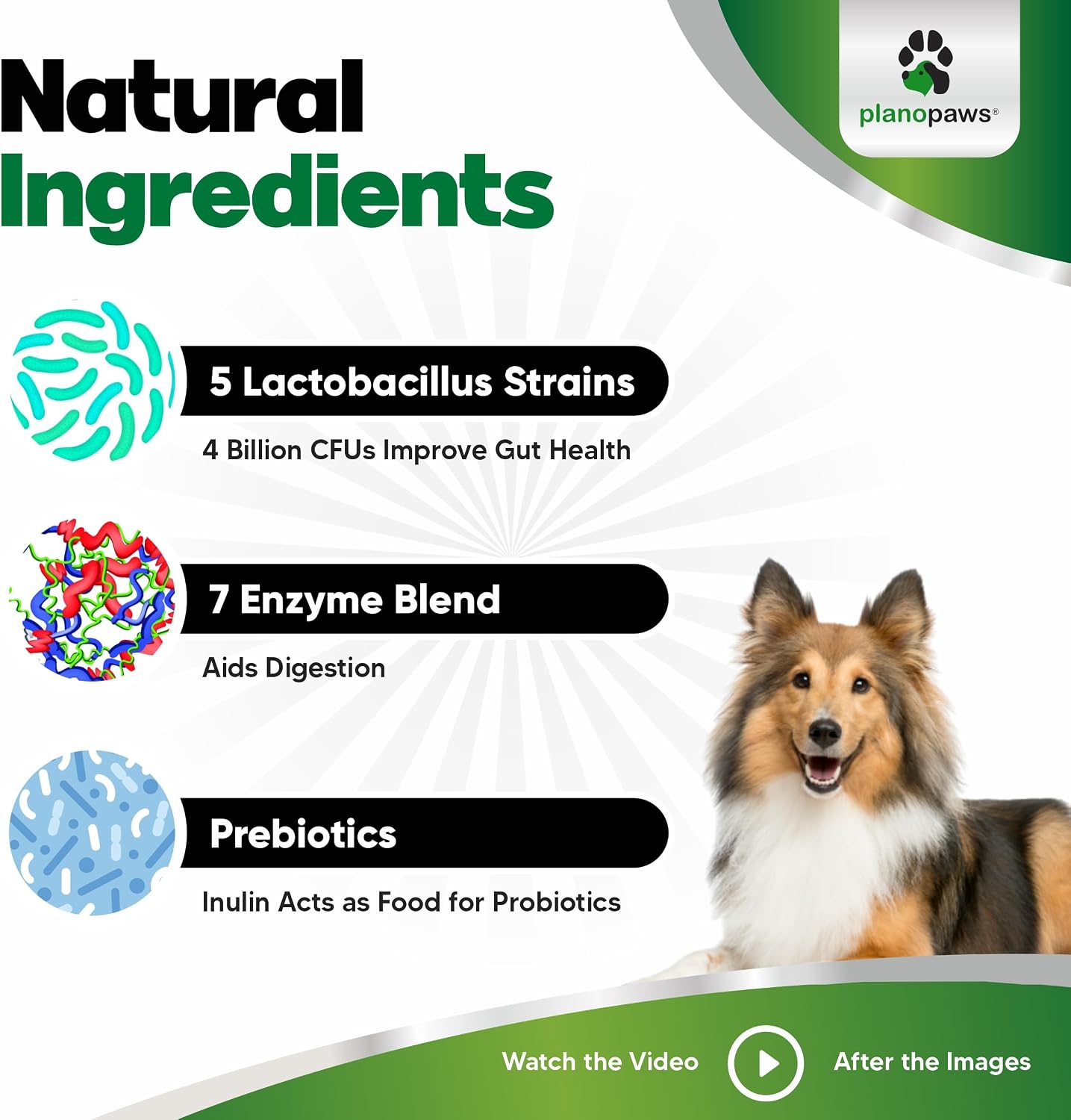 Probiotics for Dogs Digestive Health - Dog Probiotics and Digestive Enzymes - Allergy Relief for Dogs - Probiotic for Dogs Gut Health - Puppy Probiotic Tummy Treats - 120 Dog Probiotic Chews | Gut Health, Allergy and Immune, 4B CFU, 5 Strains, Chicken Fl…
