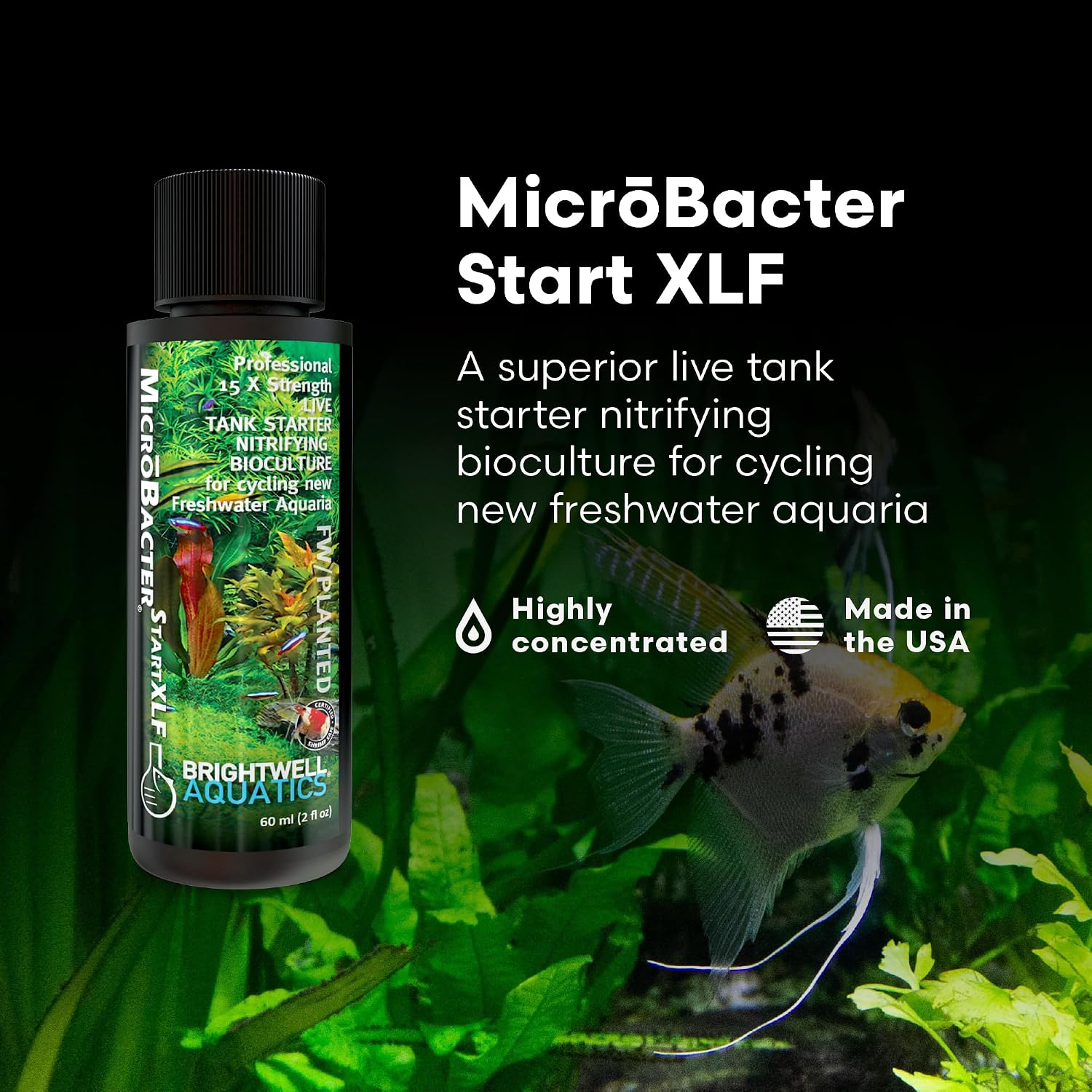 Brightwell Aquatics MicroBacter Start XLF Freshwater Tank Starter, 125 ml