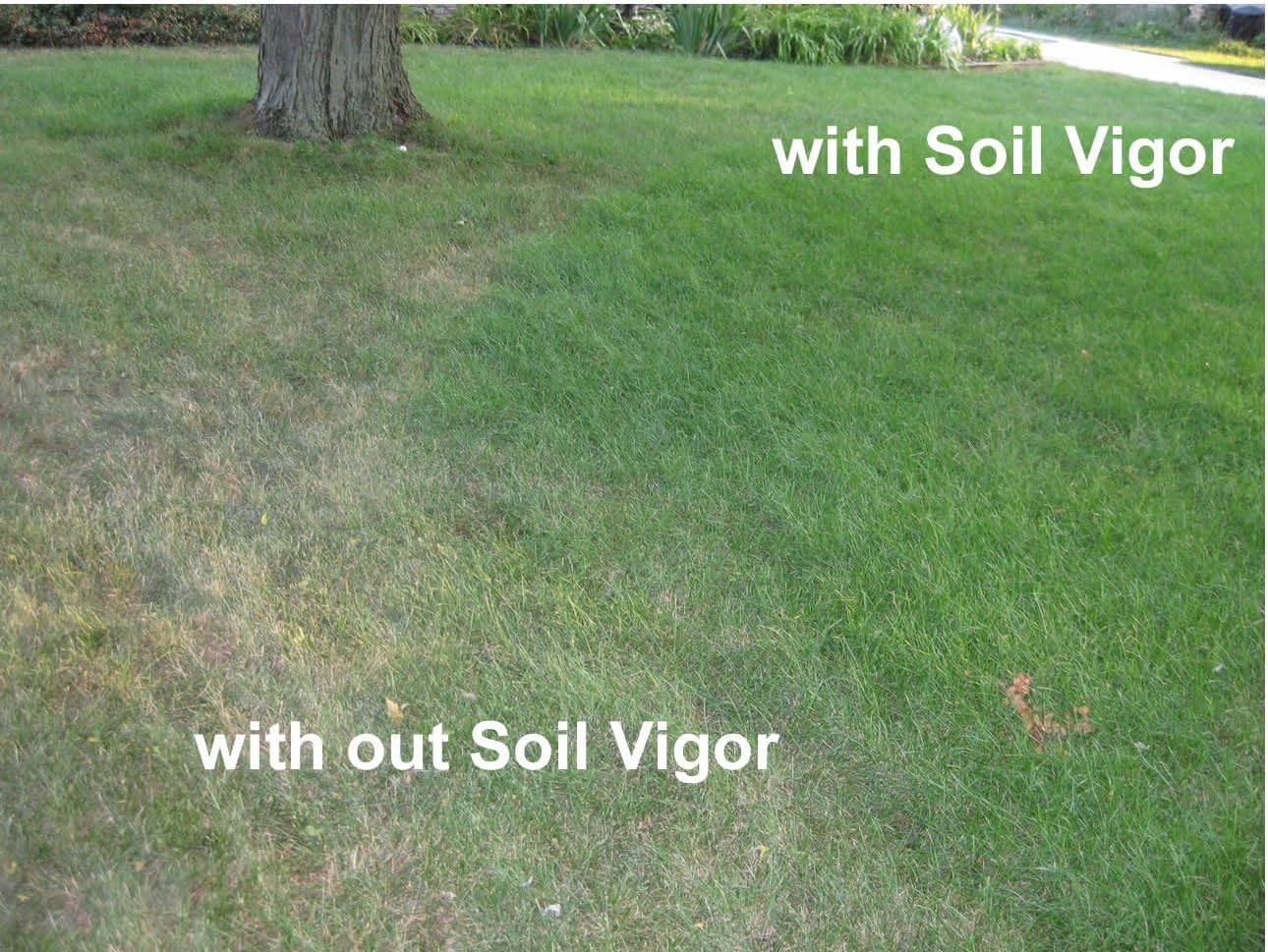 Organic Fertilizer Humic Acid with Potassium Based Super Absorbent Polymer for Lawn and Garden, Soil Vigor ™ 5 Pounds Bag (1)