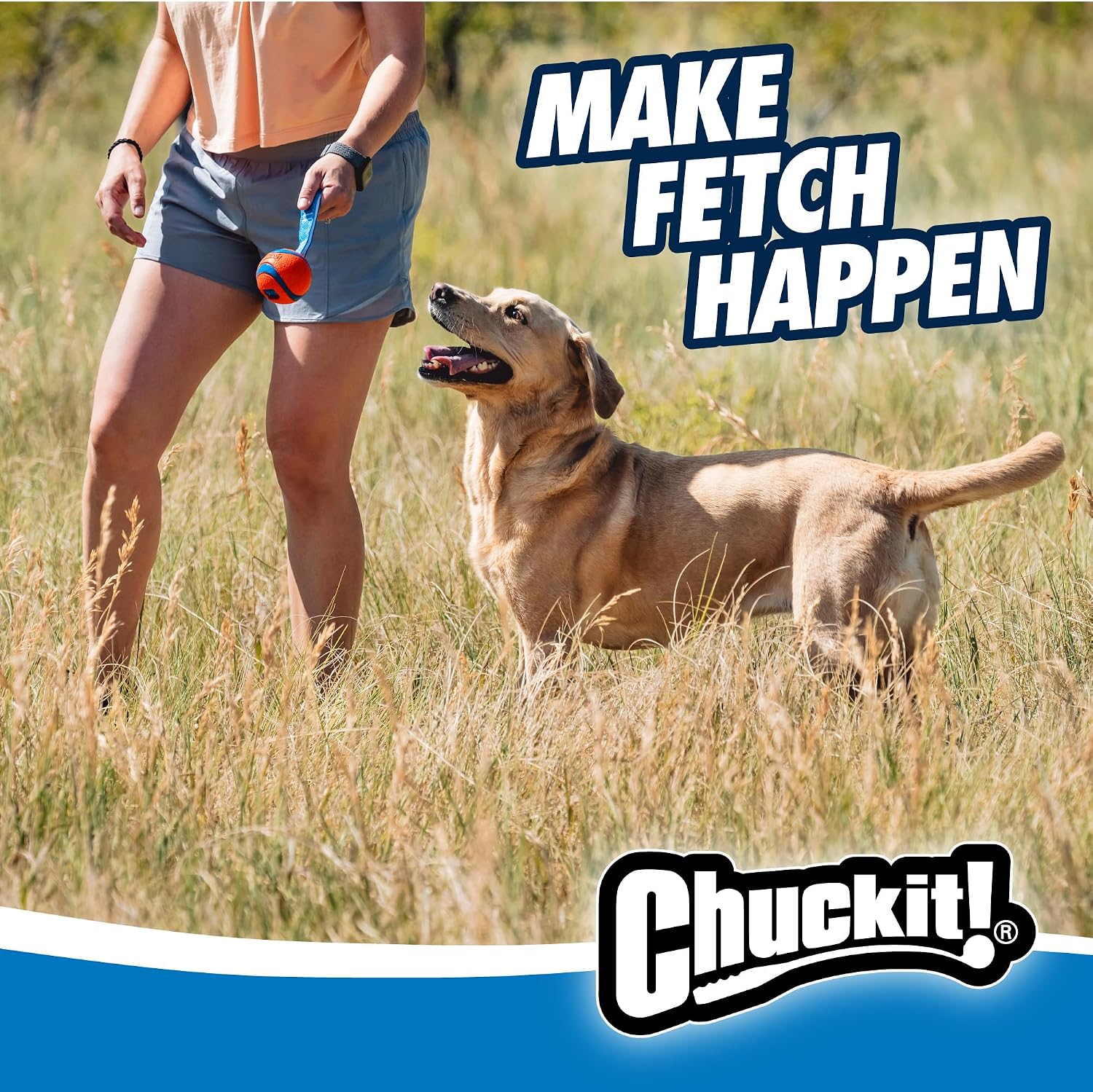 Chuckit! Ultra Tug Dog Toy - Ultra Ball on a Durable Nylon Cord Handle - Fetch and Tug-of-War Toy for Dogs - Size Large - For Breeds 60-100 lbs - 3-inch Diameter - Orange and Blue