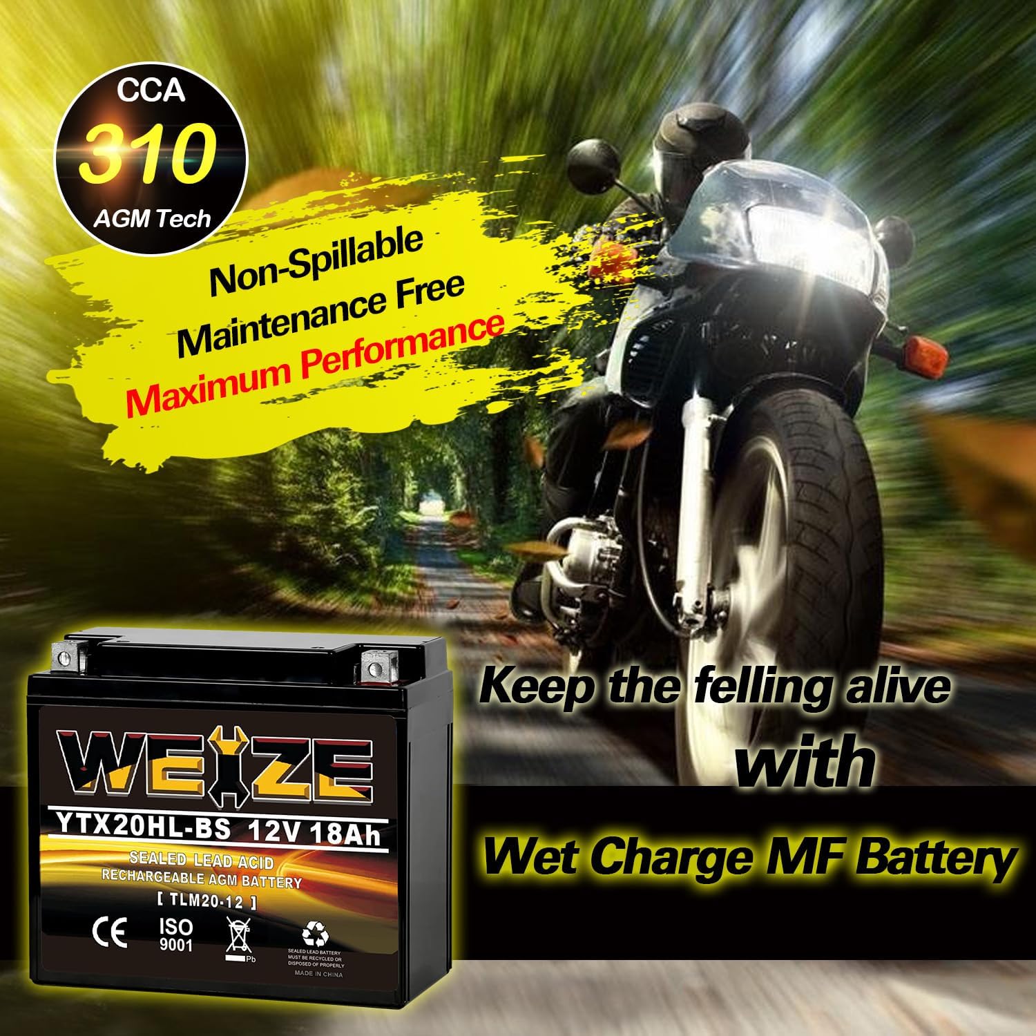Weize YTX14 BS ATV Battery High Performance - Maintenance Free - Sealed AGM YTX14-BS Motorcycle Battery compatible with Honda Suzuki Kawasaki Yamaha scooter snowmobile