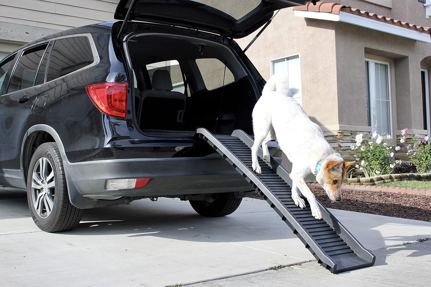 PawStep 61" Folding Pet Ramp, Portable Dog Ramp for Cars, SUVs, Beds & Couches, Lightweight PP Construction, Textured Surface