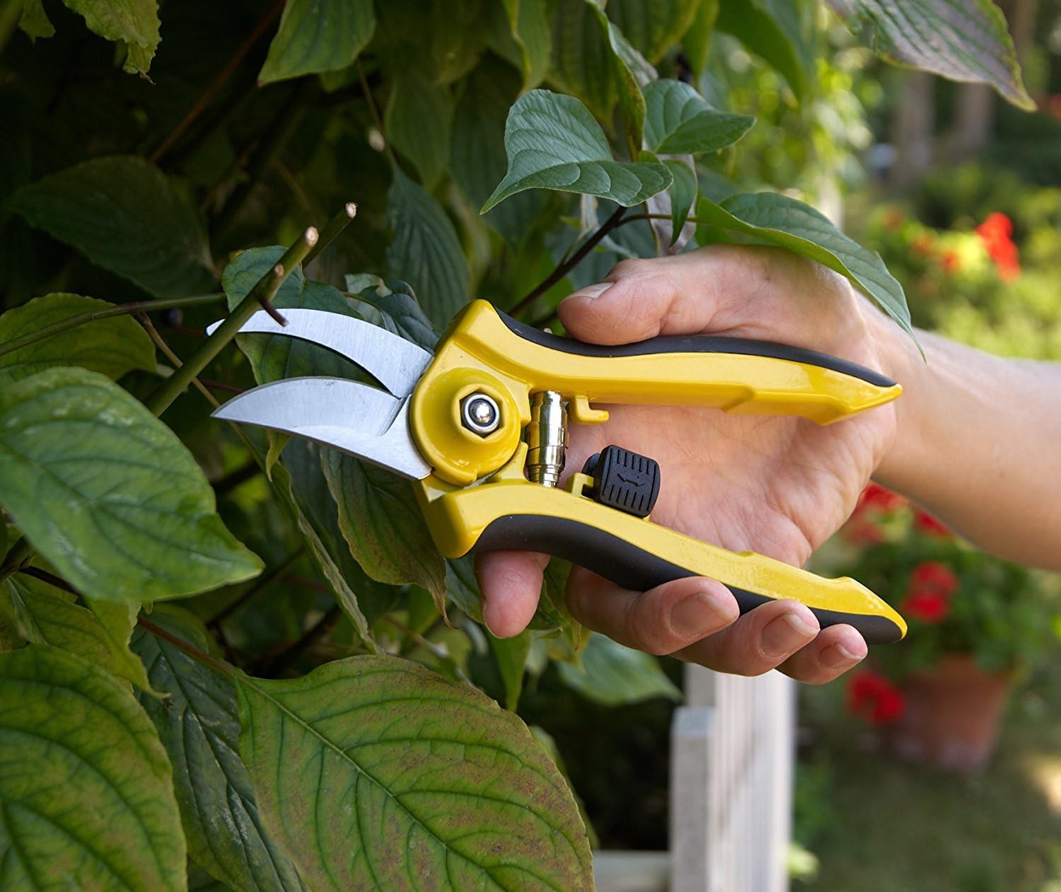 Dramm 18043 ColorPoint Bypass Pruner with Stainless Steel Blade, Yellow