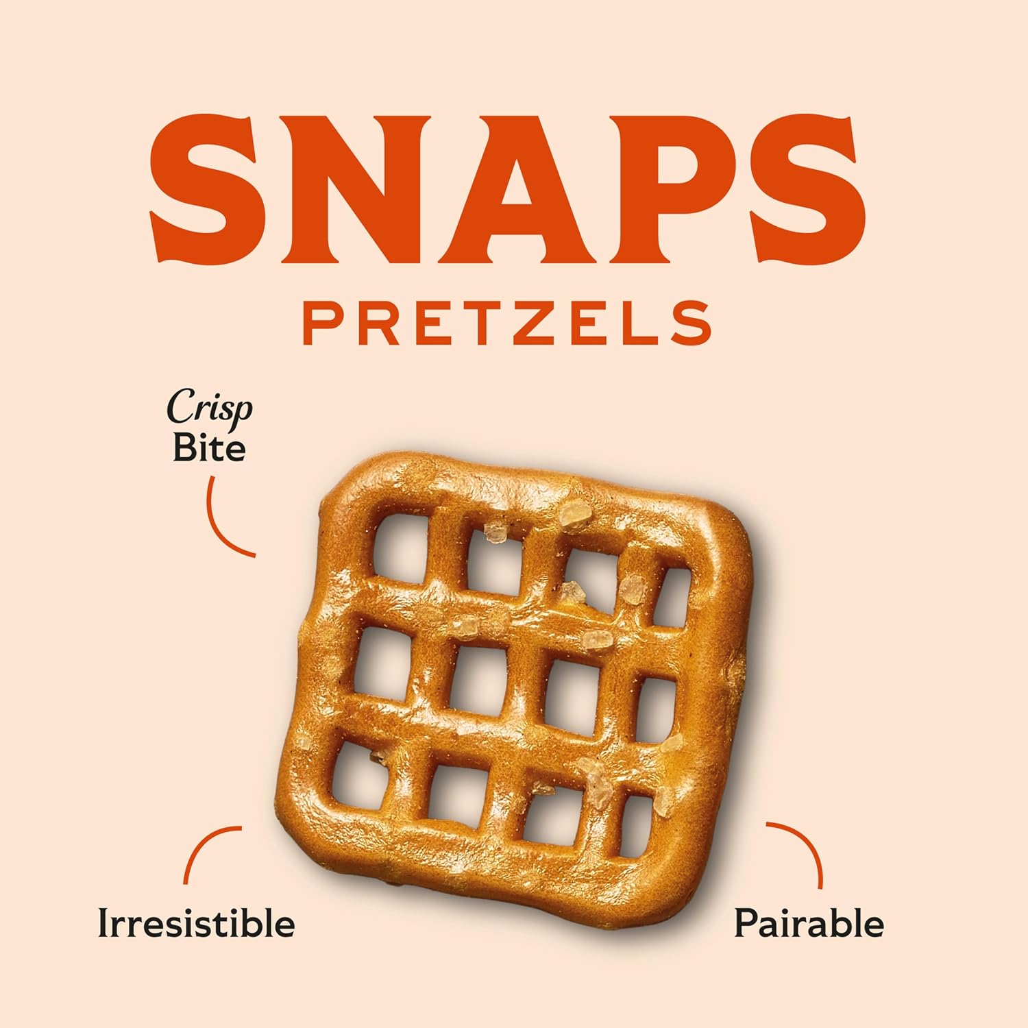 Snyder's of Hanover Gluten Free Mini Pretzels, 8 Oz 1 bag
