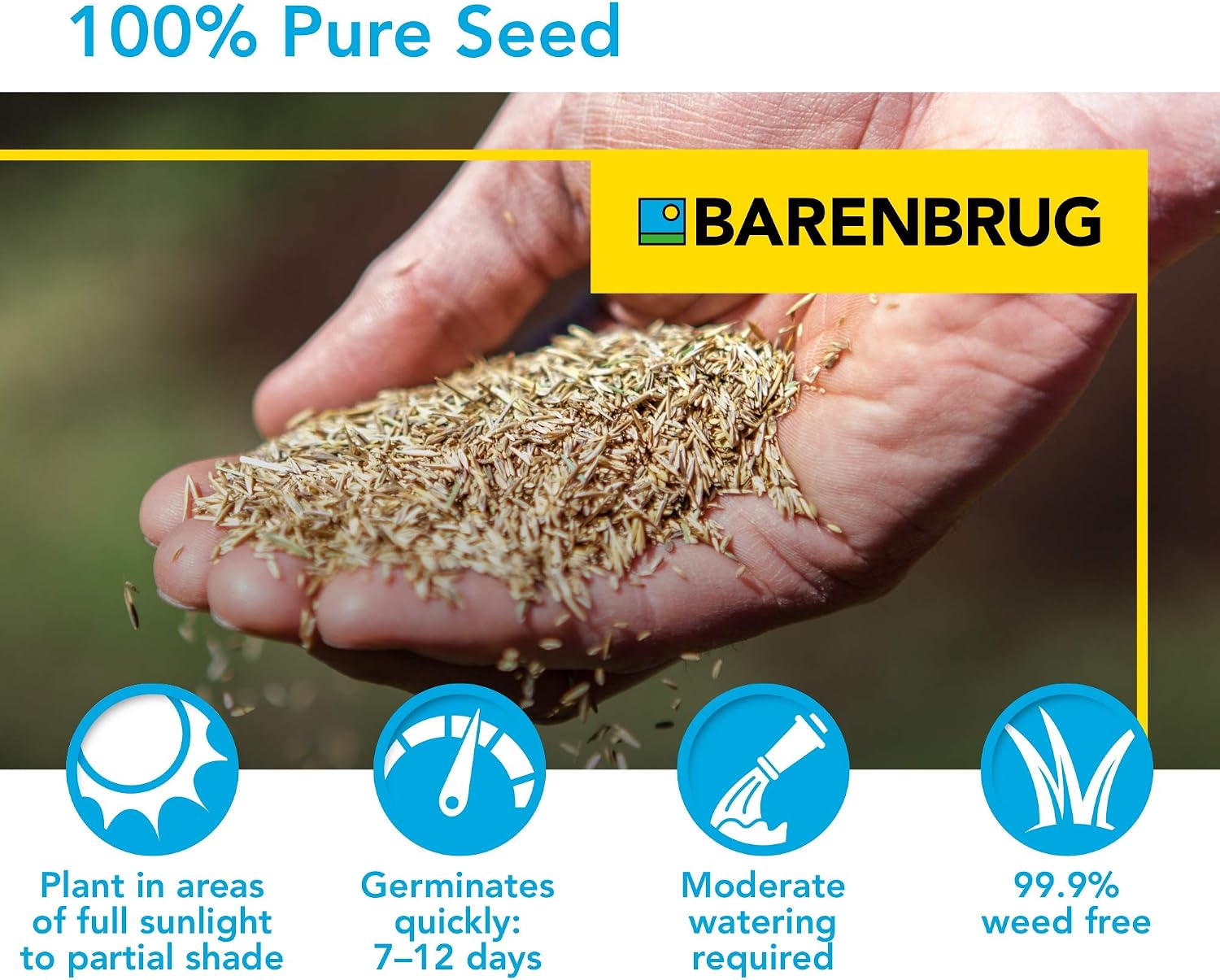 Barenbrug 25625 Turf Sense Grass Seed Grows in Areas of Sun and Partial Shade, 25 LB Bag