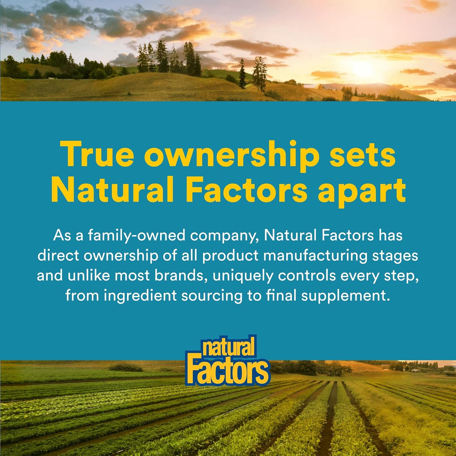 Natural Factors Ultimate Probiotic Senior's - Senior Supplement for Digestive & Immune Health - 35 Billion CFUs - Non-GMO & Gluten-Free - 30