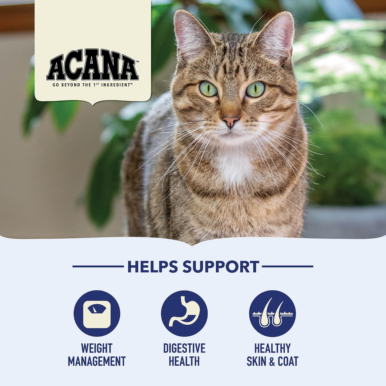 ACANA Dry Cat Food for Indoor Cats Indoor Entrée Chicken Turkey 4lb Bag