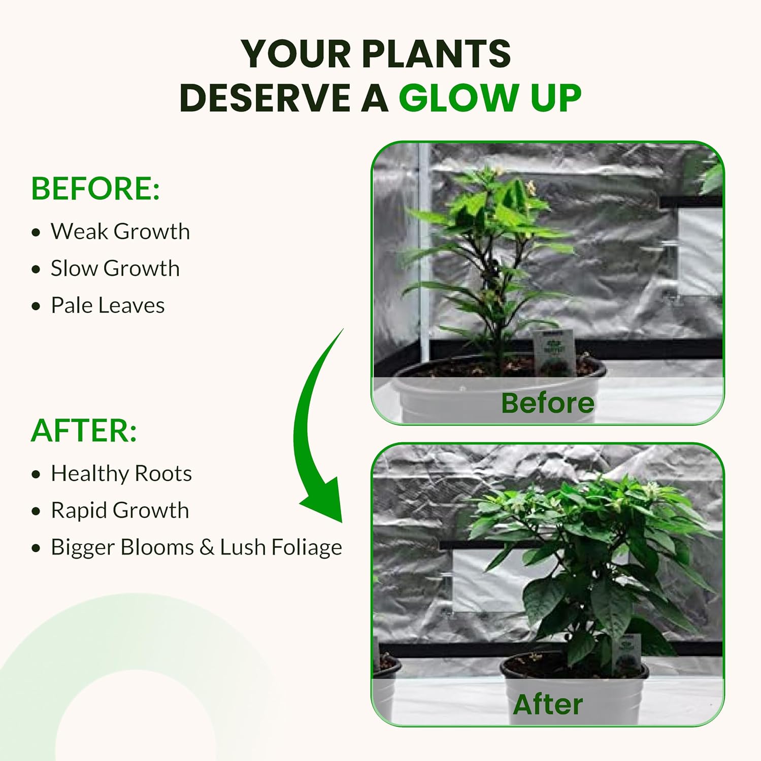 Humboldts Secret Starter Kit Pack | Indoor and Outdoor Plant Fertilizer and Hydroponic Nutrients | Base A & B, CalMag and Iron, Golden Tree, Flower Stacker, Plant Enzymes | Complete Garden System