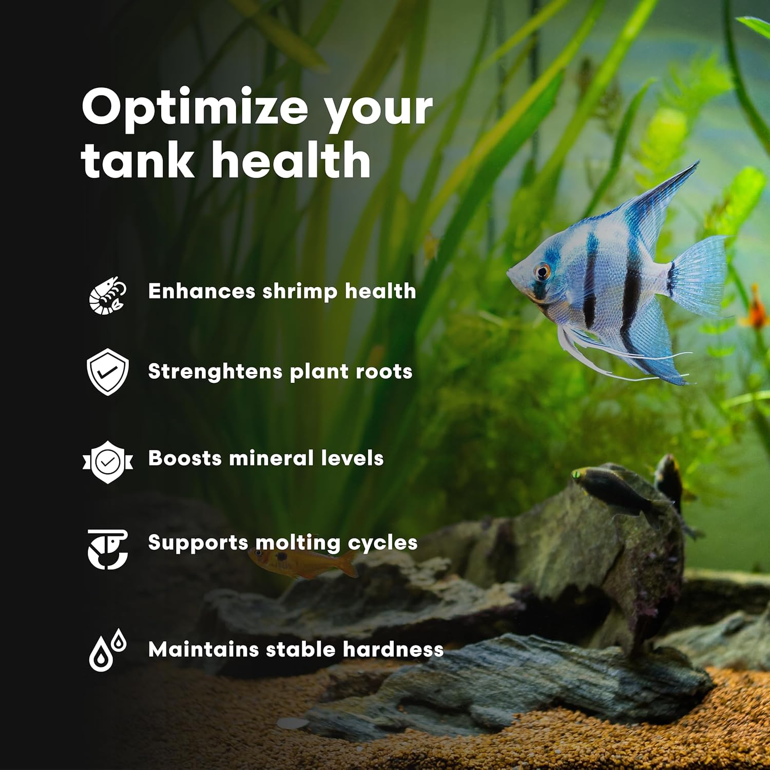 Brightwell Aquatics NeoTiger KH GH+ Mineral for RO/DI Aquariums, 250 ml