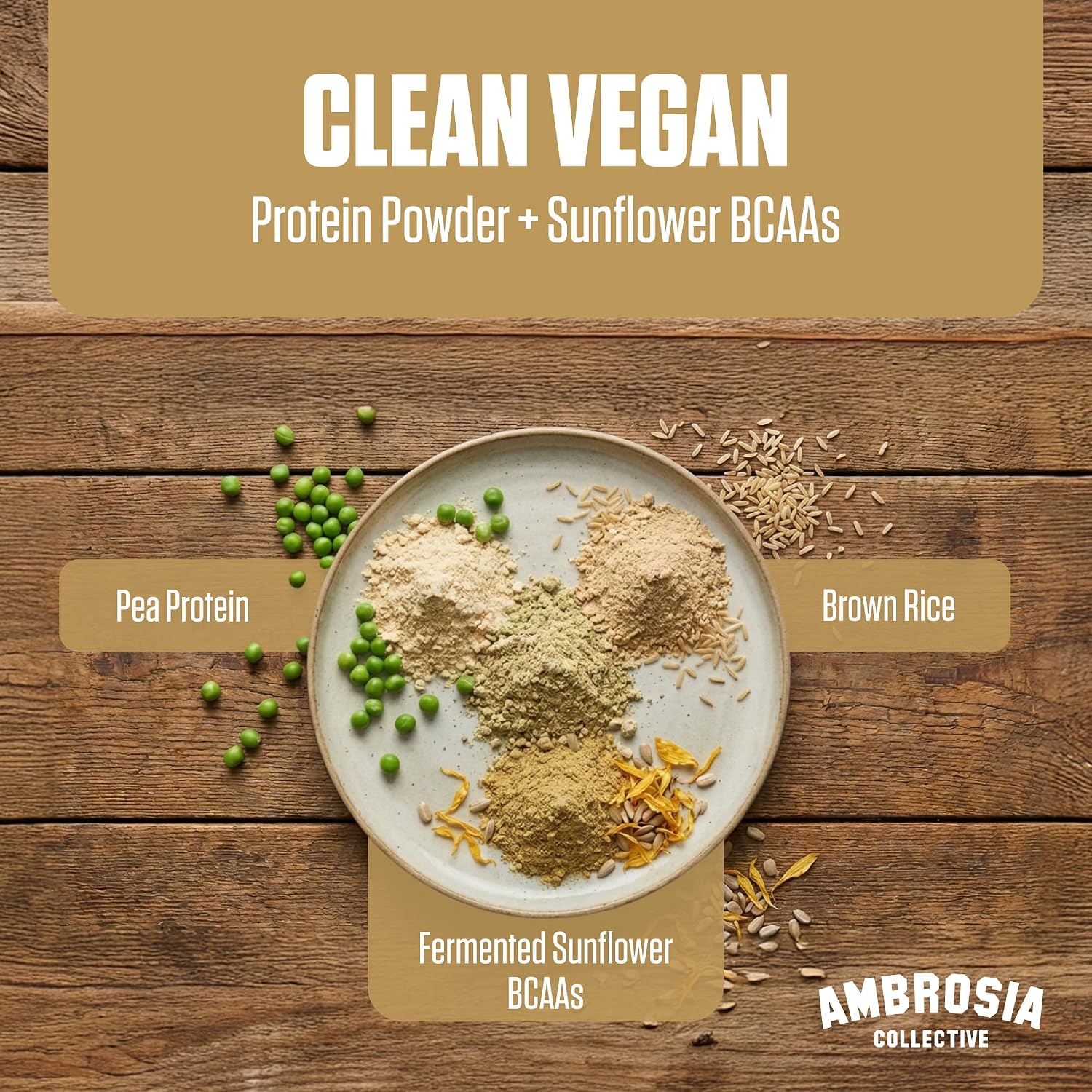 Ambrosia Plant Based Protein Powder 20g | Clean Vegan Pea Protein Powder | Gluten & Dairy Free, Keto Friendly, No Added Sugar | 25 Servings | Banana Maple