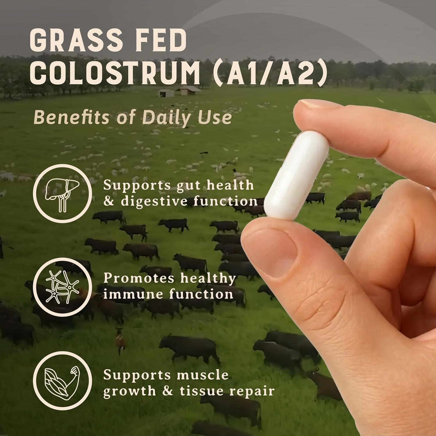 HEART & SOIL Gut & Digestion Supplement, 180 Capsules
