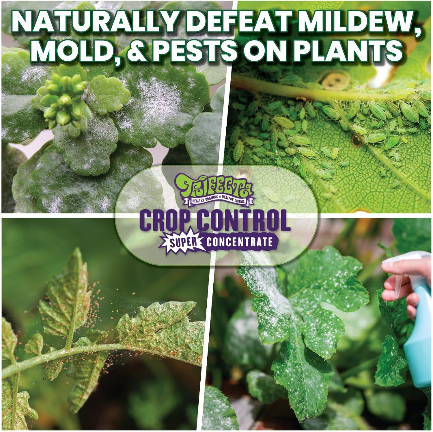 Trifecta Crop Control Super Concentrate | 4 oz | All-in-One Pesticide, Fungicide, Miticide And Insecticide | For Spider Mites, Mildew, Mold And Botrytis