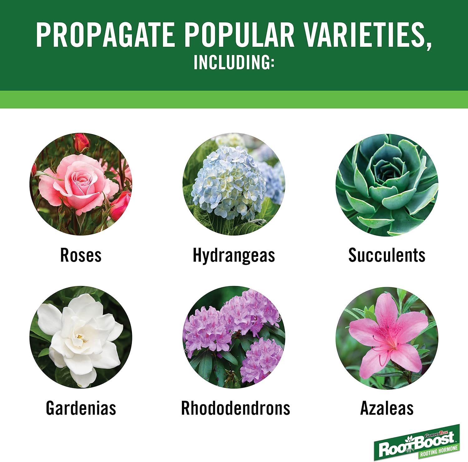 RootBoost Rooting Hormone, Rooting Powder for Plant Cuttings, 2 Ounces | Propagation for indoor and outdoor plants, container gardens and garden ornamentals, contains Hormodin 1