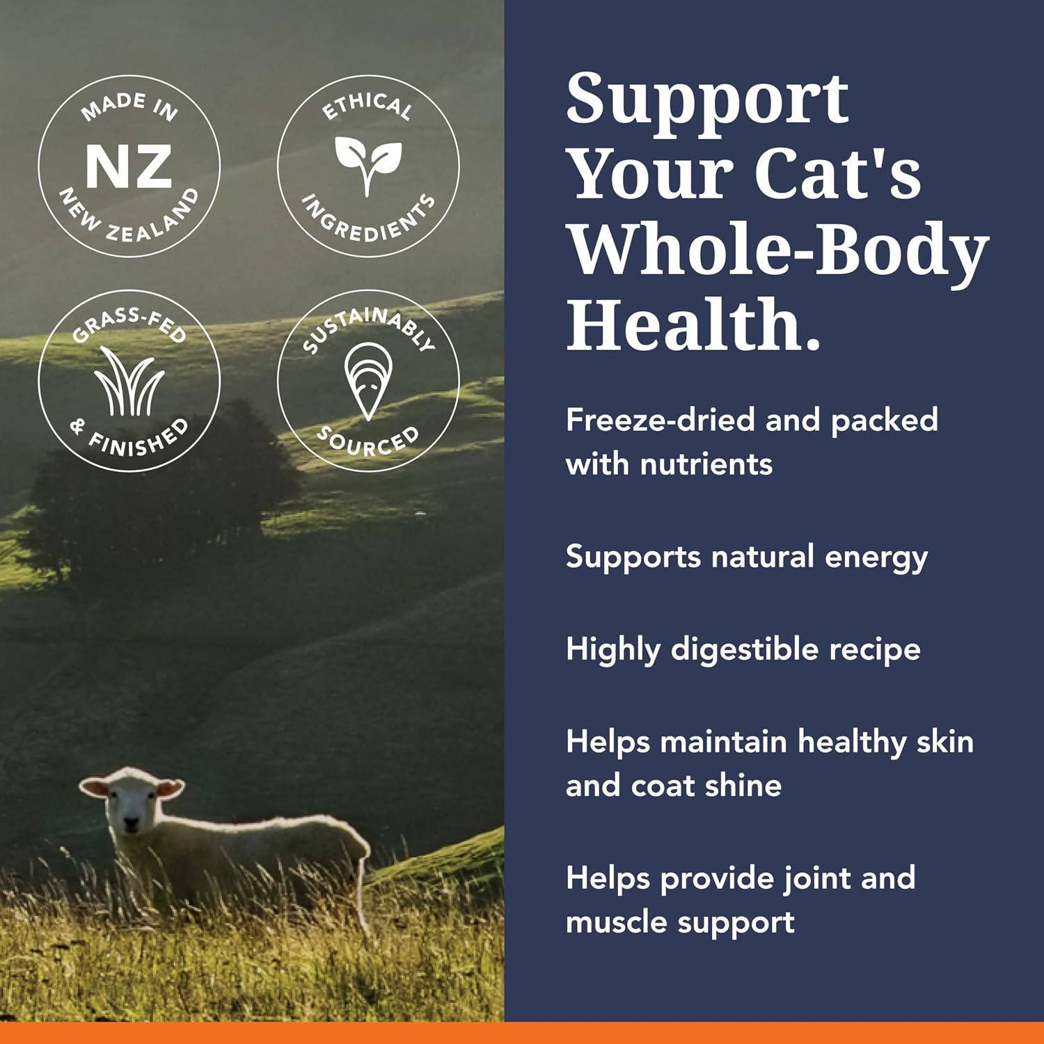 Feline Natural - High Protein Freeze Dried Dry Cat Food with 98% Meat
