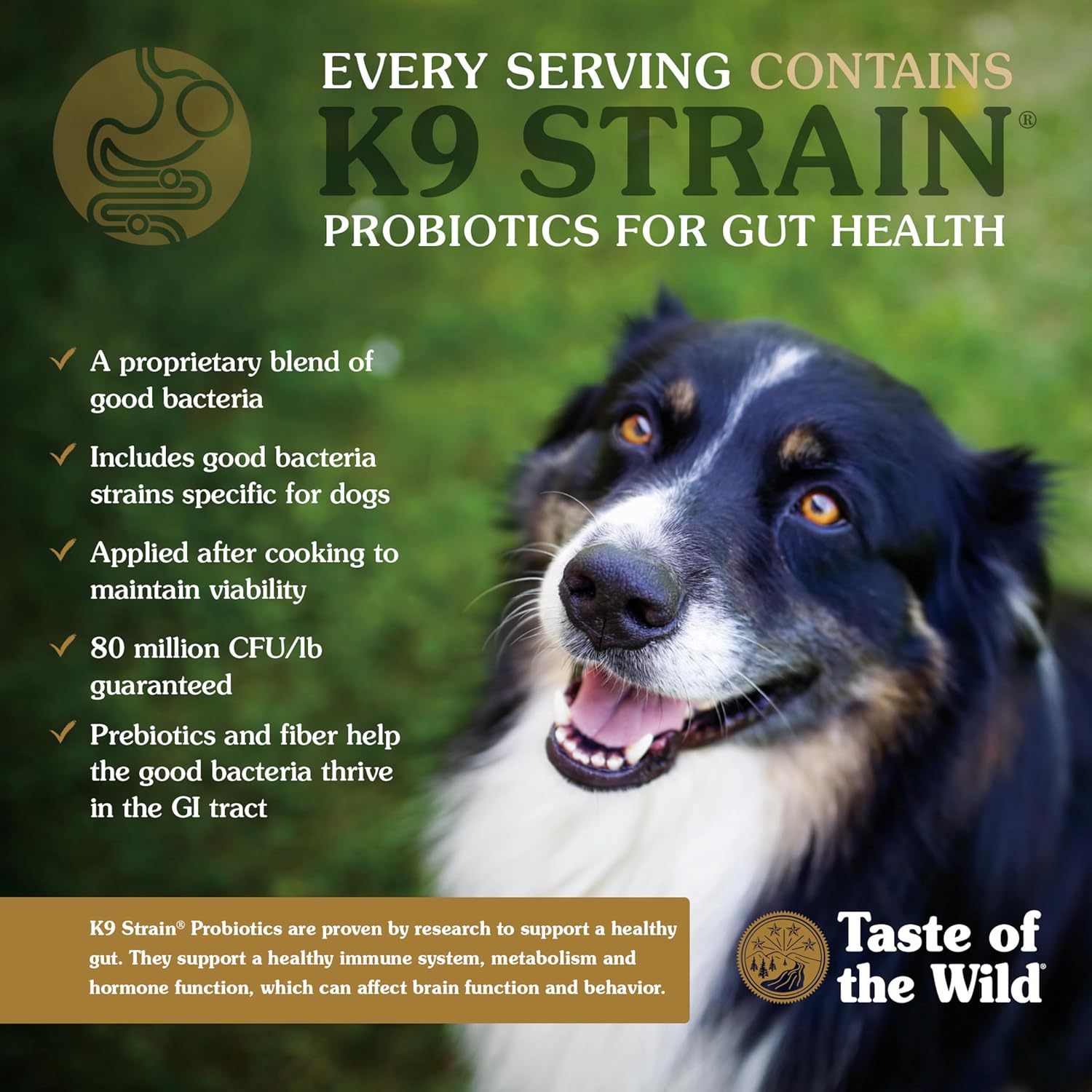 Taste of the Wild Pacific Stream Adult Dry Dog Food, Salmon, 5lb | Grain Free Recipe* | Nutrient Dense to Help Support Peak Health | Guaranteed Omega Fatty Acids to Help Support Skin & Coat