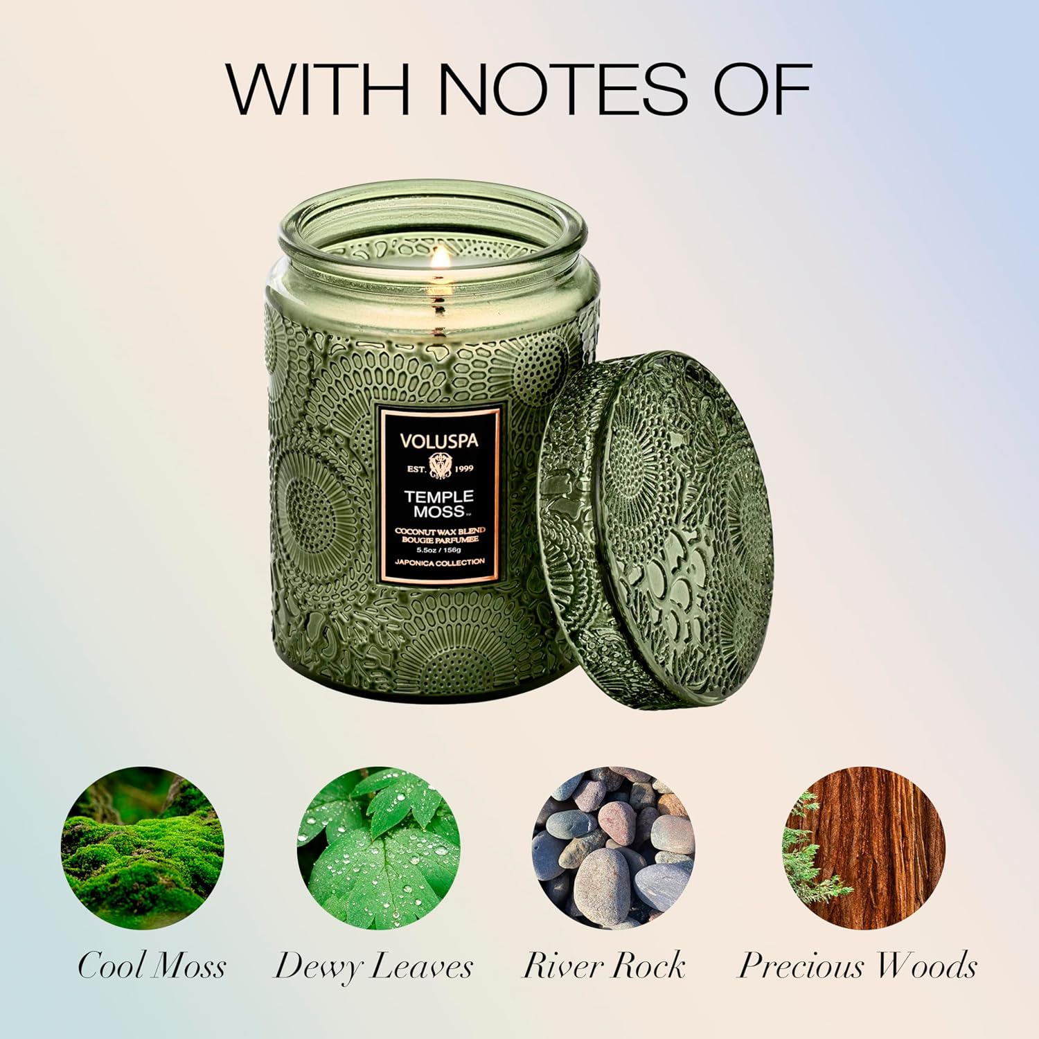 Voluspa Baltic Amber, Small Candle Jar, 5.5 oz, 50 Hour Burn Time, Coconut Wax for Clean Burning, Handcrafted in the USA