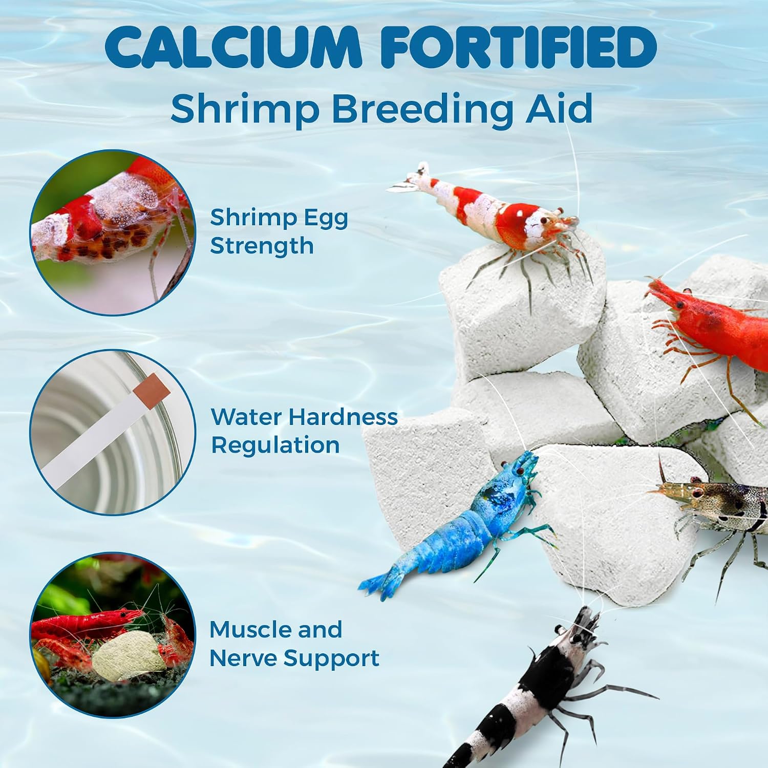 SunGrow Shrimp Rocks, Calcium, Magnesium Rocks for Crayfish, Hermit Crab, Snails, Crustacean Care, Aquarium Decor for Crystal Red, Amano and Ghost Shrimps, Nano Tank Accessories, Fish Tank Supplies