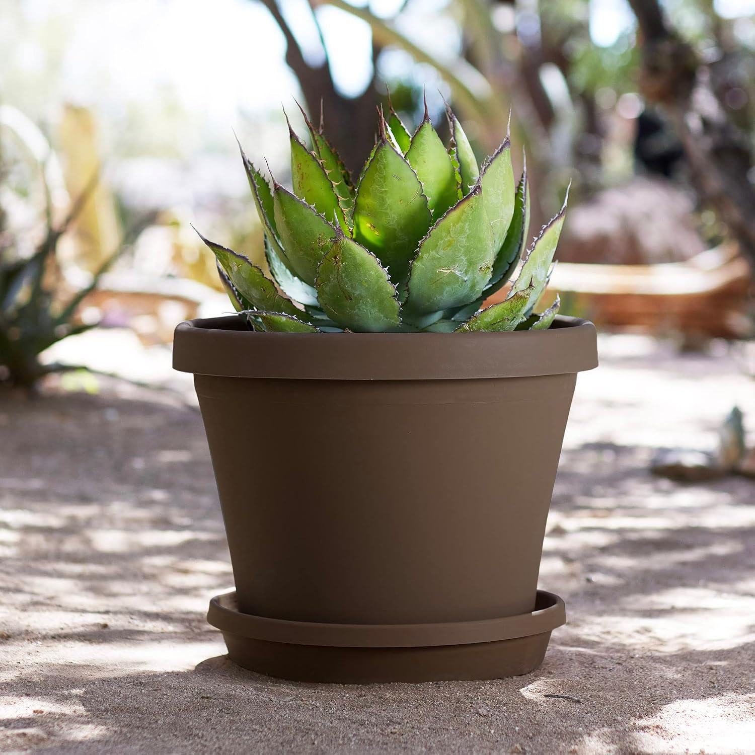 Bloem Terra Pot Planter: 16" - Terra Cotta - Durable Resin Pot, for Indoor and Outdoor Use, 8 Gallon Capacity, Saucer Sold Separately