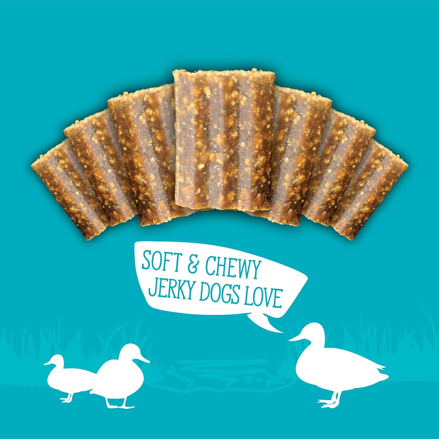 Evolve Grain Free Salmon and Sweet Potato Jerky Bites Dog Treats