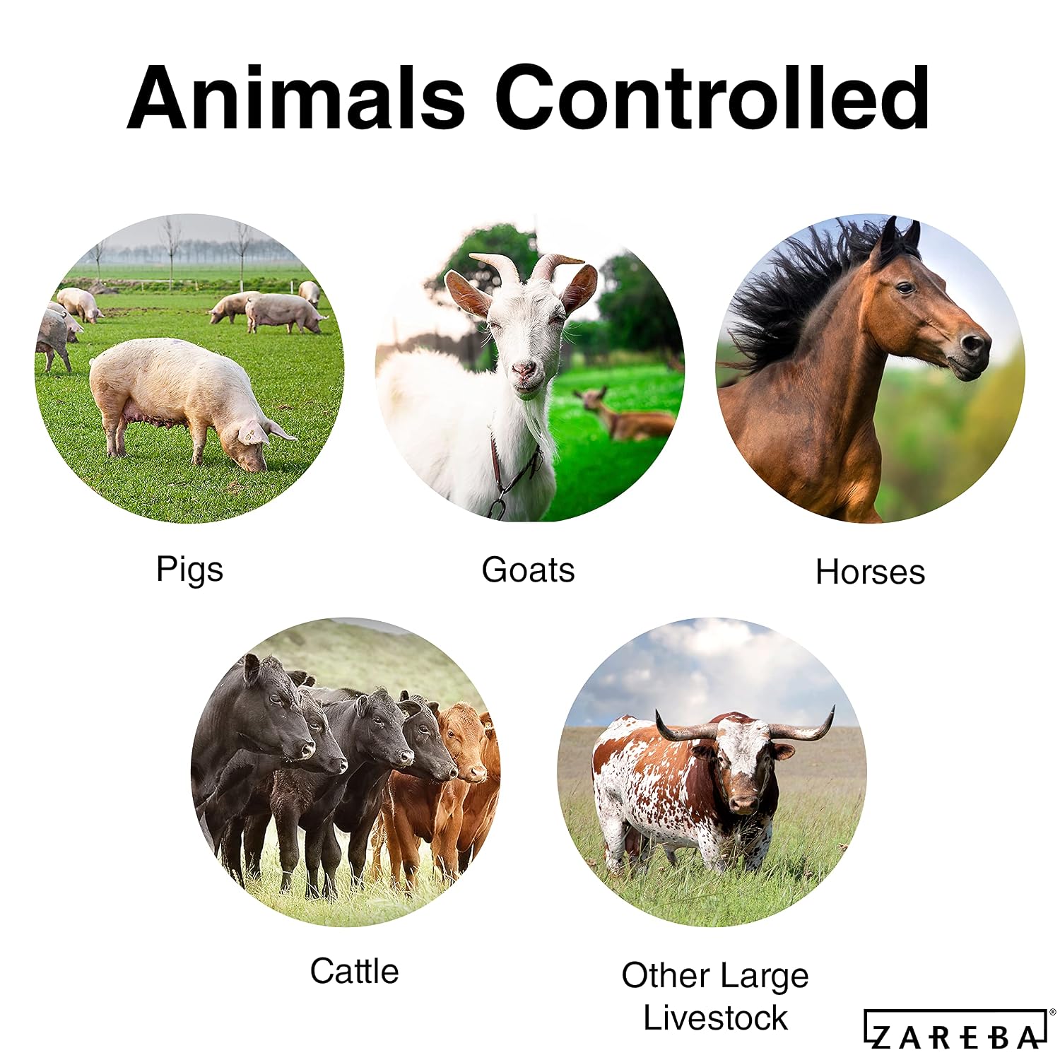 Zareba 50 Mile AC-Powered Low Impedance Electric Fence Charger | 2.0 Joule Output, Contain Cattle, Horses, Pigs, Goats, Use in Heavy Weed Conditions, Lightning Protection, EAC50M-Z
