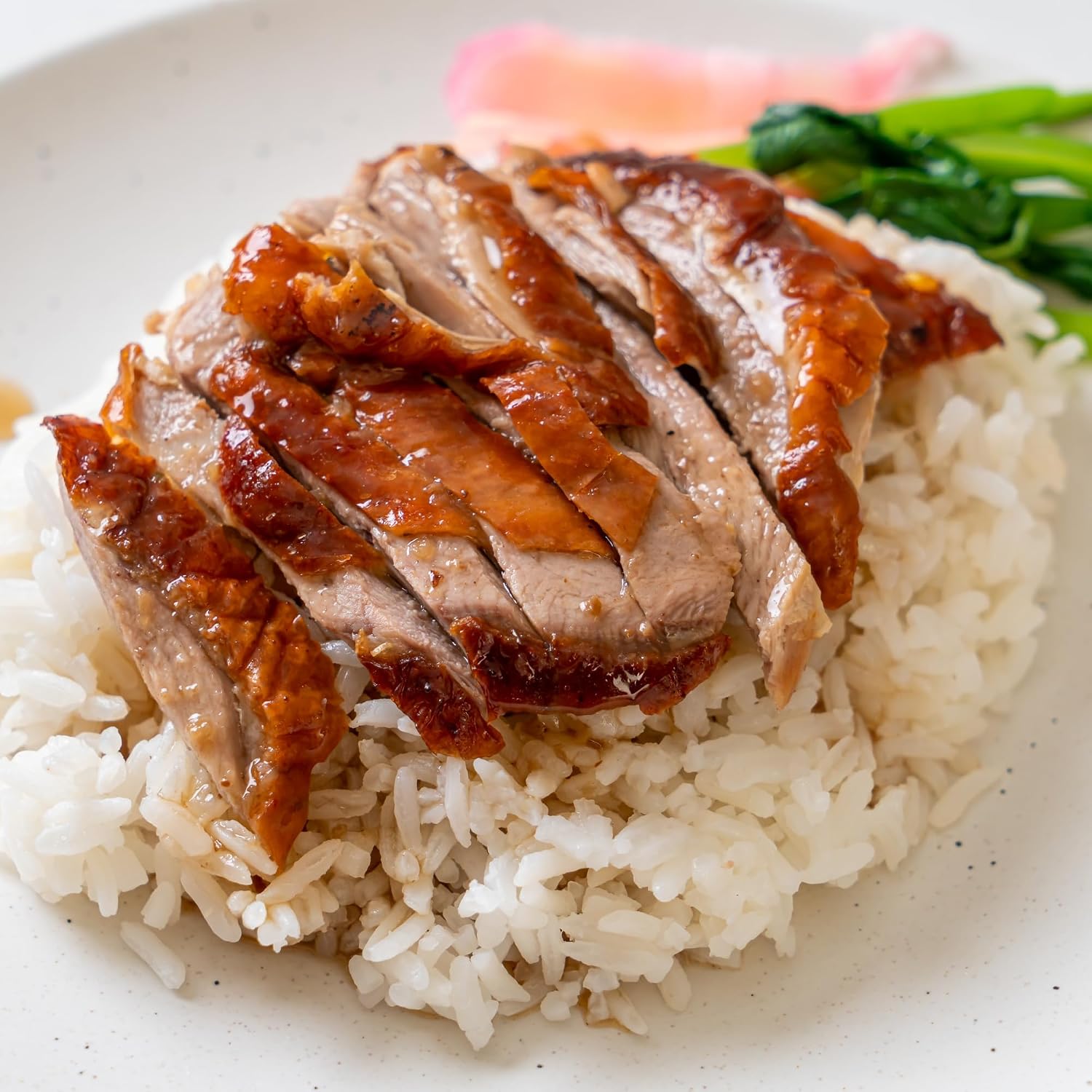 Today Gourmet Foods of NC- Duck -Fully Cooked Roasted Half Duck (6-12/14oz Portions)