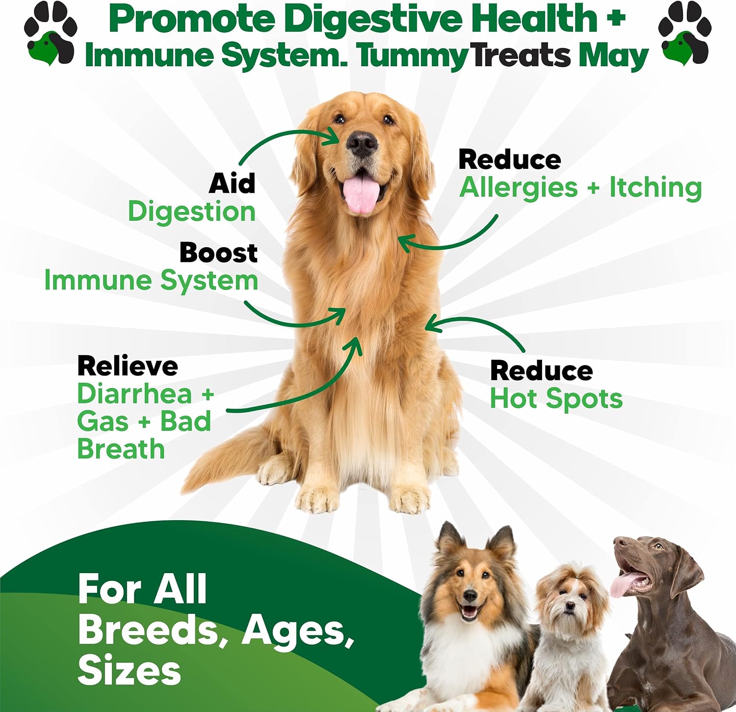 Probiotics for Dogs Digestive Health - Dog Probiotics and Digestive Enzymes - Allergy Relief for Dogs - Probiotic for Dogs Gut Health - Puppy Probiotic Tummy Treats - 120 Dog Probiotic Chews | Gut Health, Allergy and Immune, 4B CFU, 5 Strains, Chicken Fl…