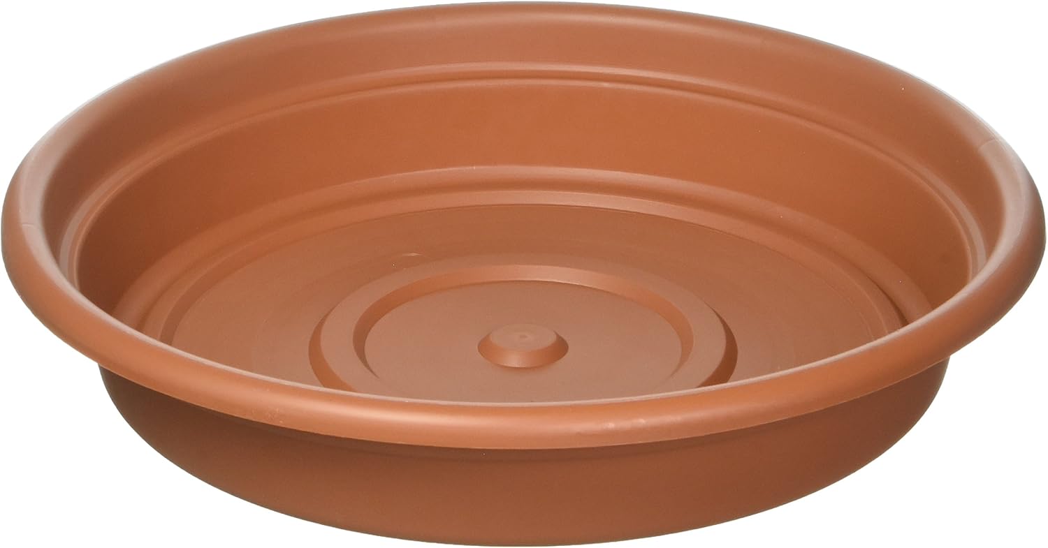 Bloem SDC8-46 Dura Cotta Plant Saucer, Terra Cotta, 8"
