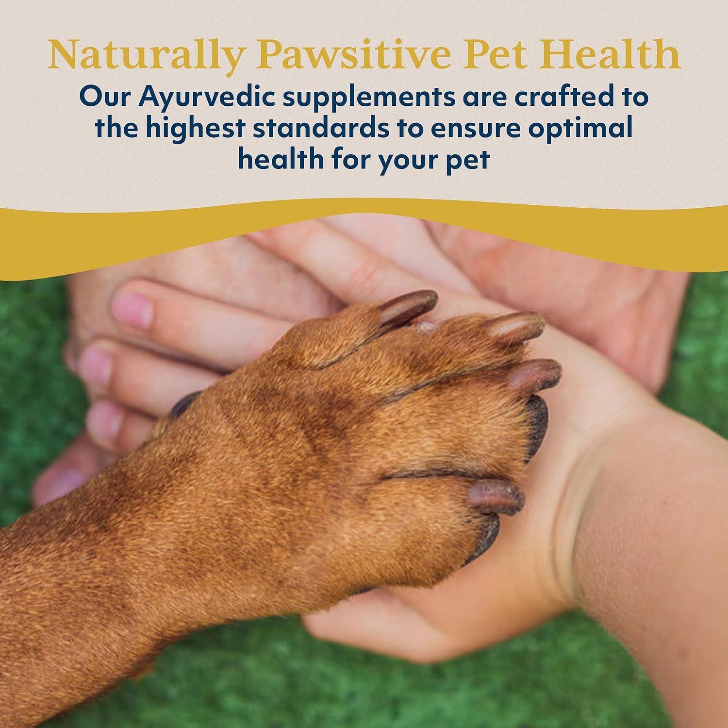 Ayush Pet CoCurcumin with CoQ10, Immune Support, 5.2 Oz