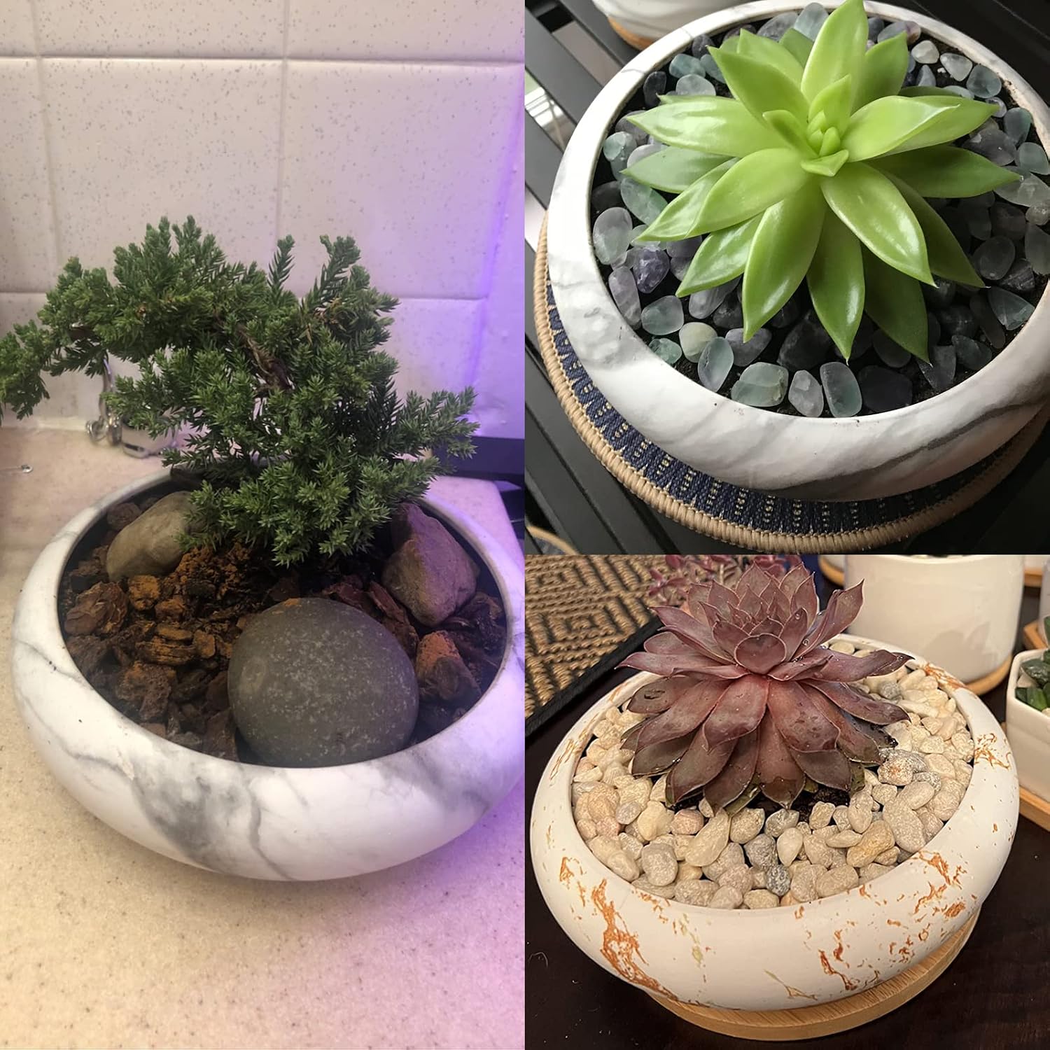 Succulent Pots, 7.3'' Large Bonsai Pots with Tray, Shallow Planters