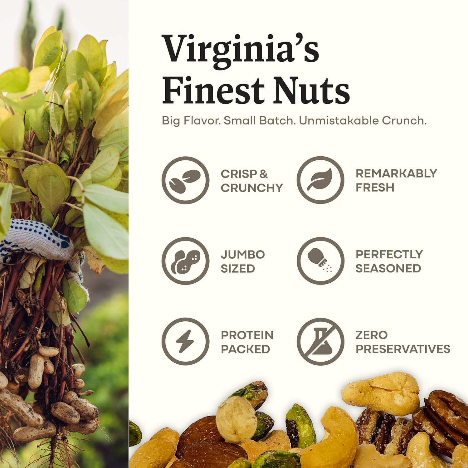 Belmont Peanuts Gourmet Sea-Salted Virginia Peanuts, 20 oz (1 Pack) – Only 3 Simple Ingredients, No Preservatives, 7g Protein – A Premium, Salty, Crunchy, Hand Seasoned Snack