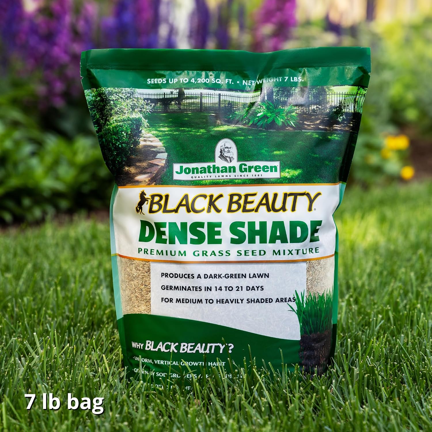 Jonathan Green (10610) Black Beauty Dense Shade Grass Seed - Cool Season Lawn Seed (25 lb) | Grows Well in Medium to Densely Shaded Areas