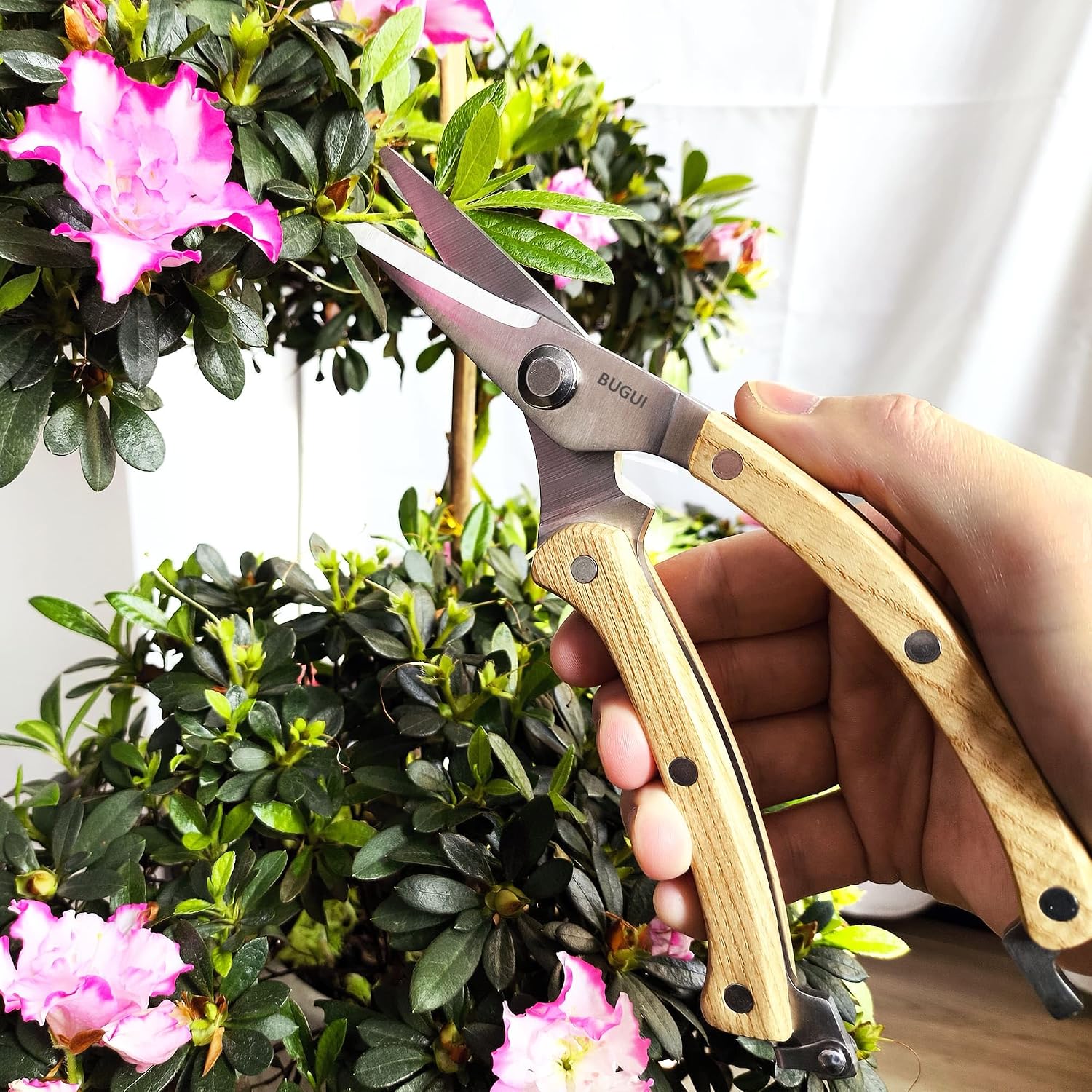 BUGUI Wood Handle Pruning Shears, SK-5 Steel Blade, 1-inch Cutting Capacity, Sharp, Well Designed Garden Shears, 8"
