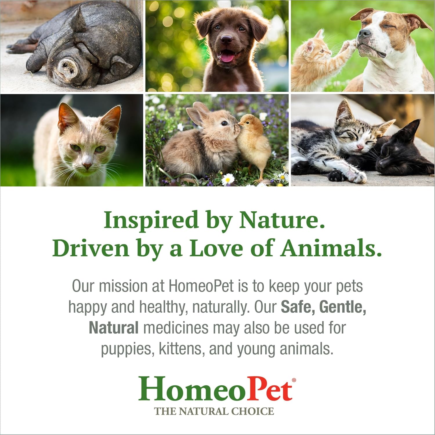 HomeoPet Feline UTI+ Urinary Tract Supplement for Cats, 15 Milliliters | Natural urinary tract support for cats, safe and gentle homeopathic formula, liquid drops suitable for daily use