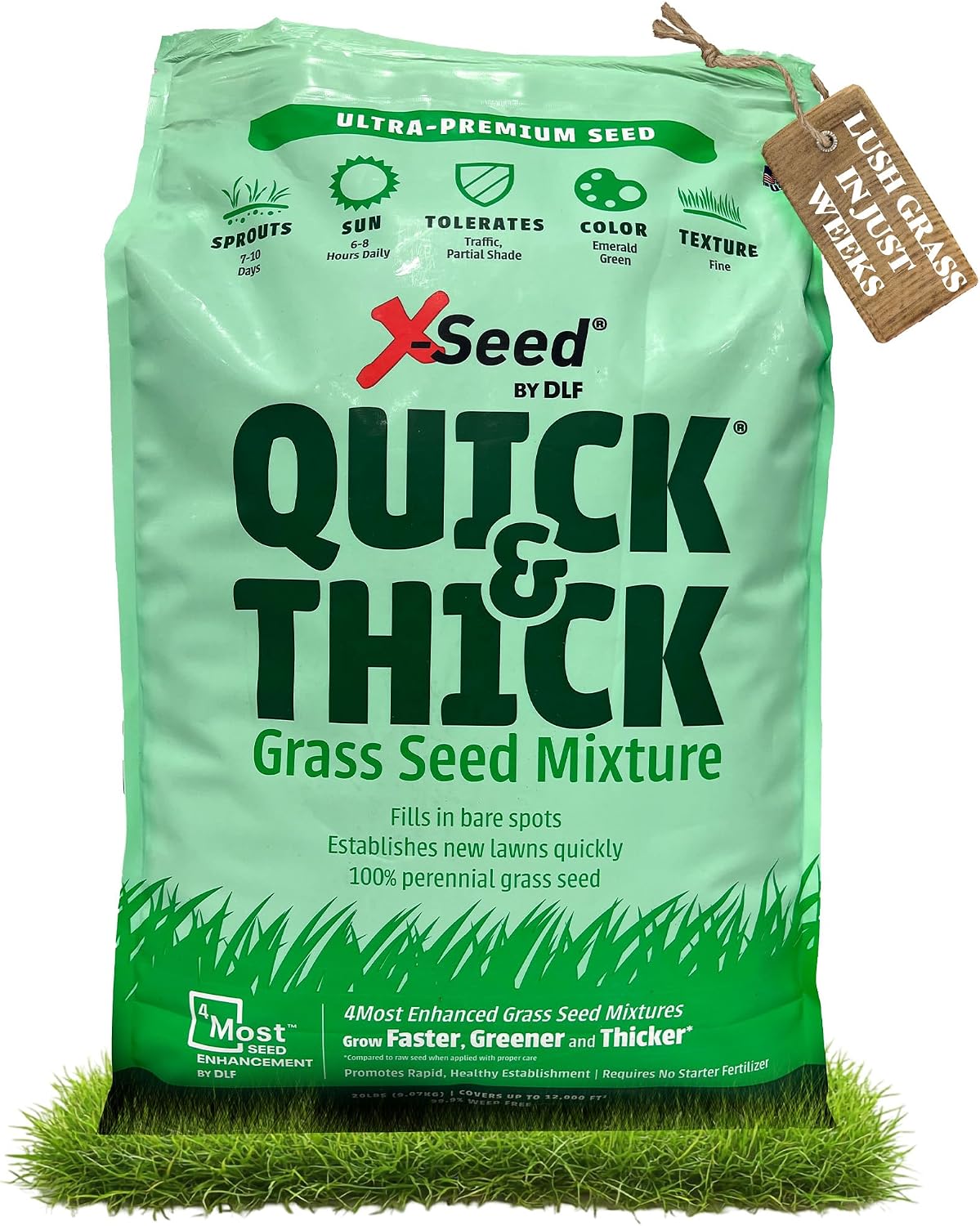X-Seed Ultra Premium Quick and Thick Lawn Seed Mixture – Rapid Germination for Any Lawn, Dense Coverage in Sun to Shade, High-Traffic Areas, Fescue, Kentucky Blue, & Perennial Ryegrass Blend, 3lb Bag