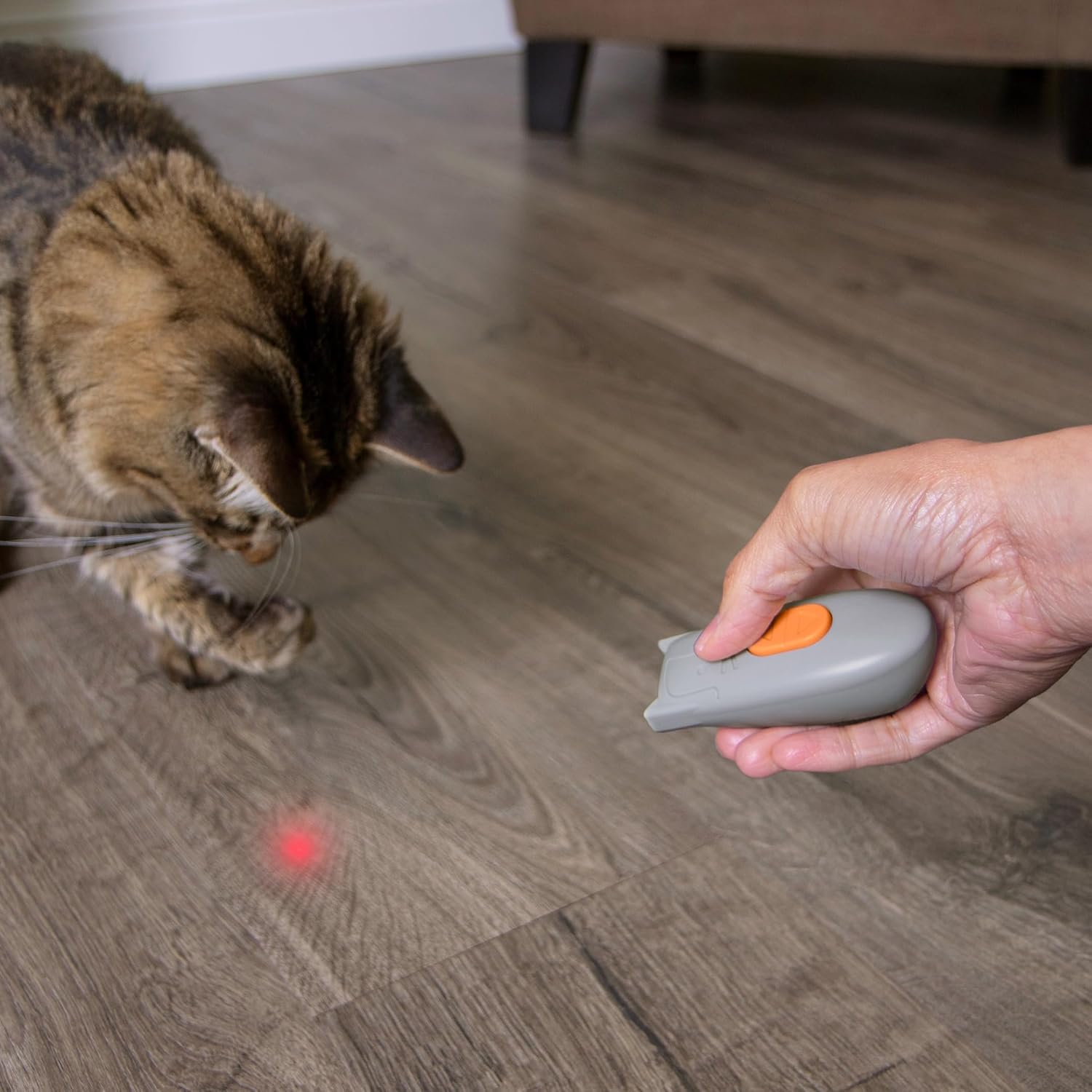 SmartyKat Electronic Motion/Moving Toys for Cats & Kittens, Battery Powered, Mimics Motion of Real Prey, Fun & Interactive Play - Multiple Styles