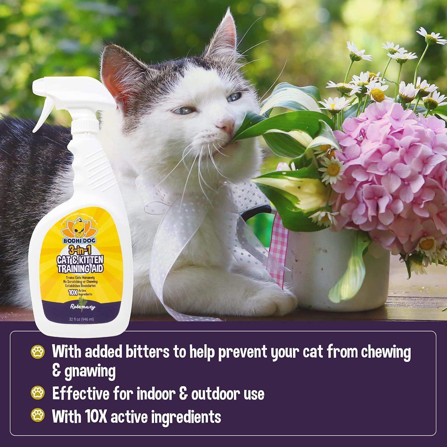 Bodhi 3-in-1 Cat & Kitten Training Aid - Cat Deterrent Spray for Indoor and Outdoor Use - Repellent to Establish Boundaries, Keep Cats Off Furniture